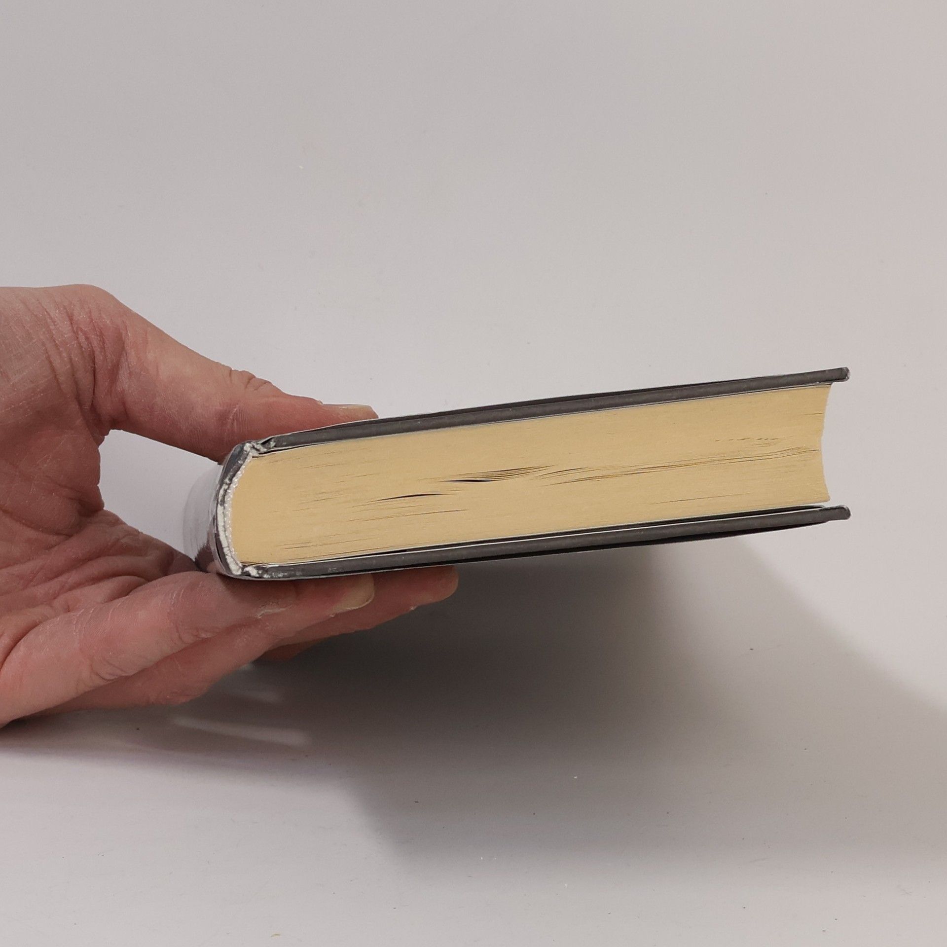 Raine Miller Všechno, nebo nic