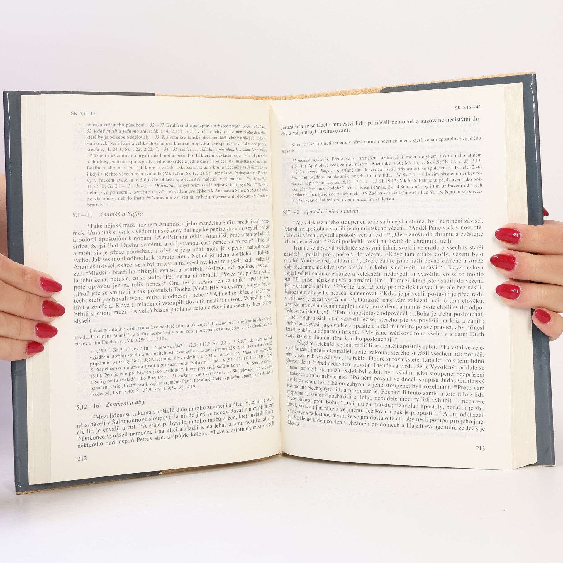Various authors Nový zákon s výkladovými poznámkami