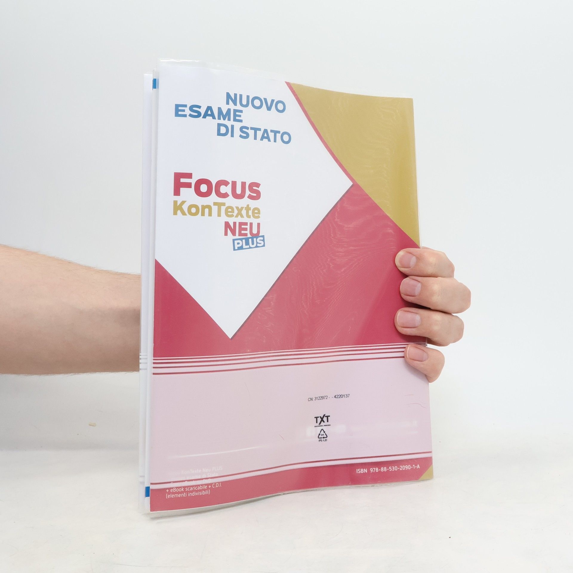 Paola Maria Focus KonTexte Neu Plus