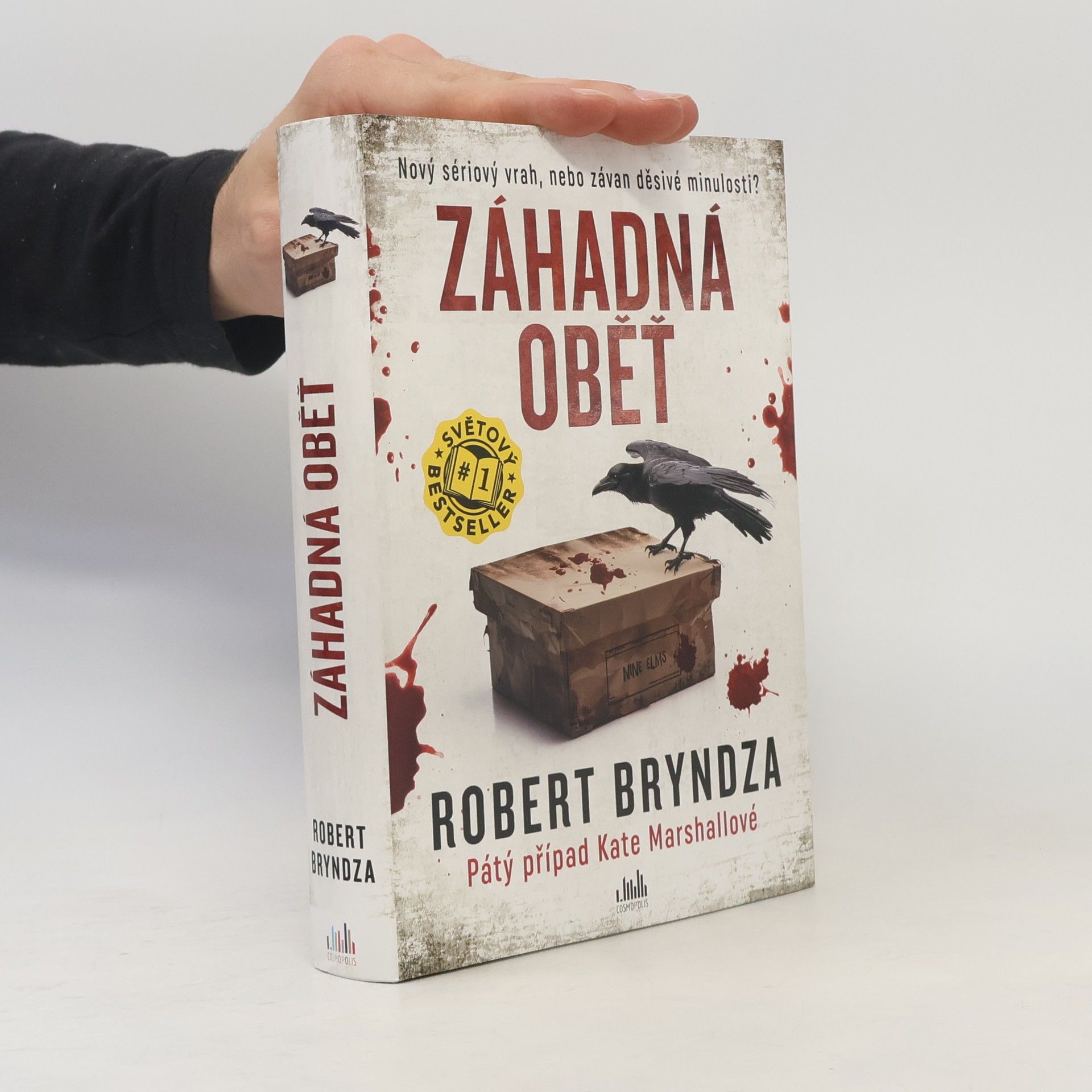 Robert Bryndza Záhadná oběť