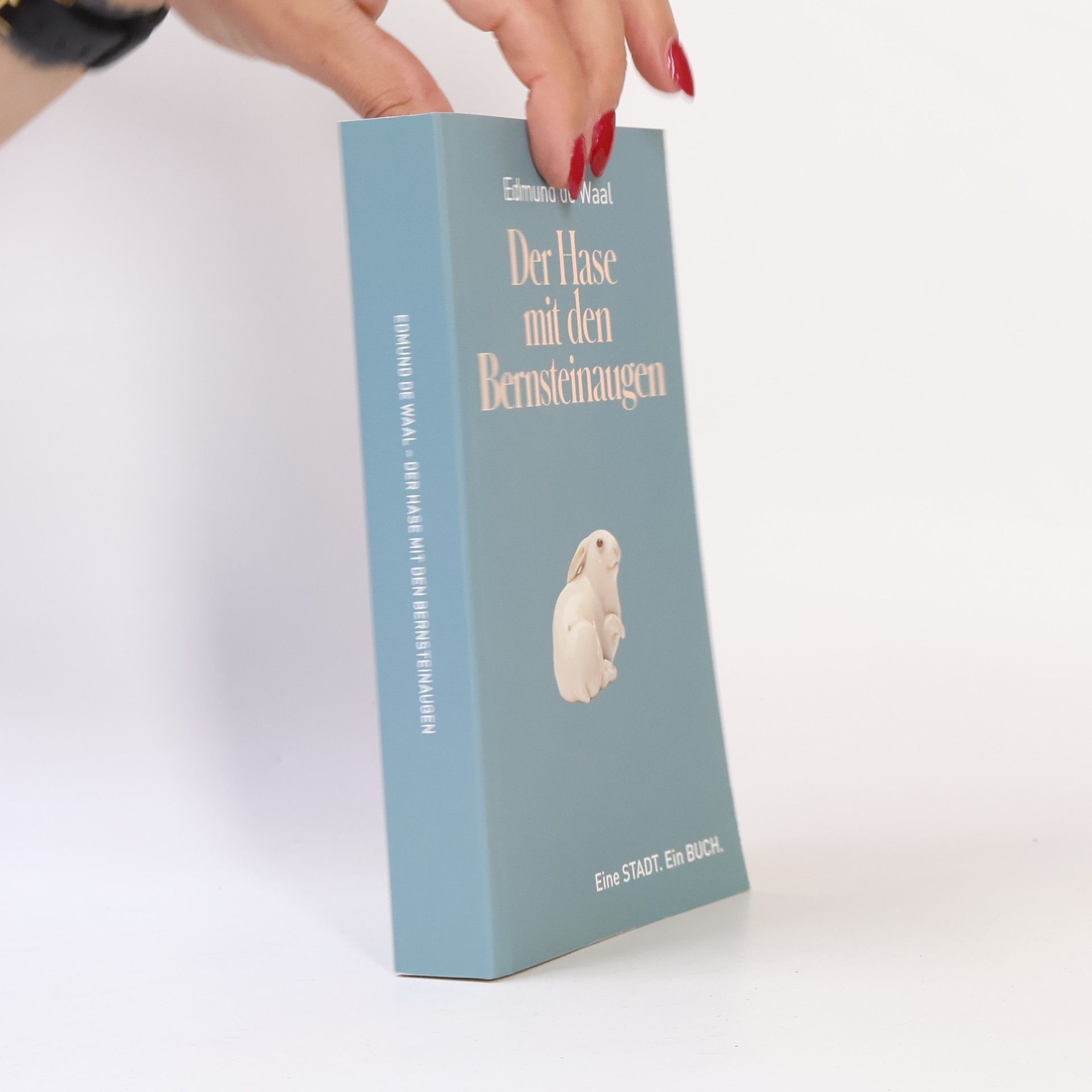Edmund de Waal Der Hase mit den Bernsteinaugen