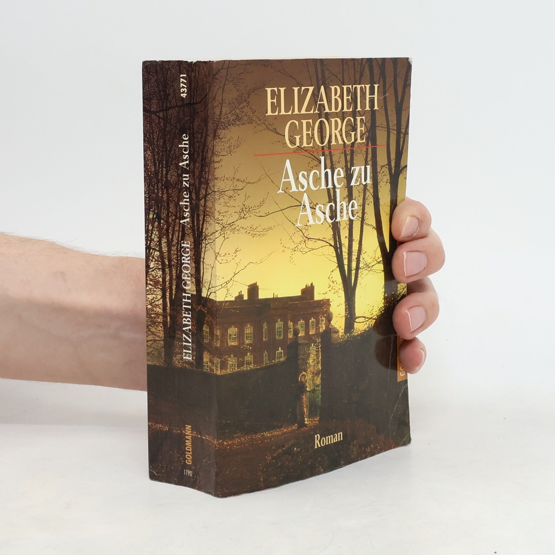 Elizabeth George Asche zu Asche