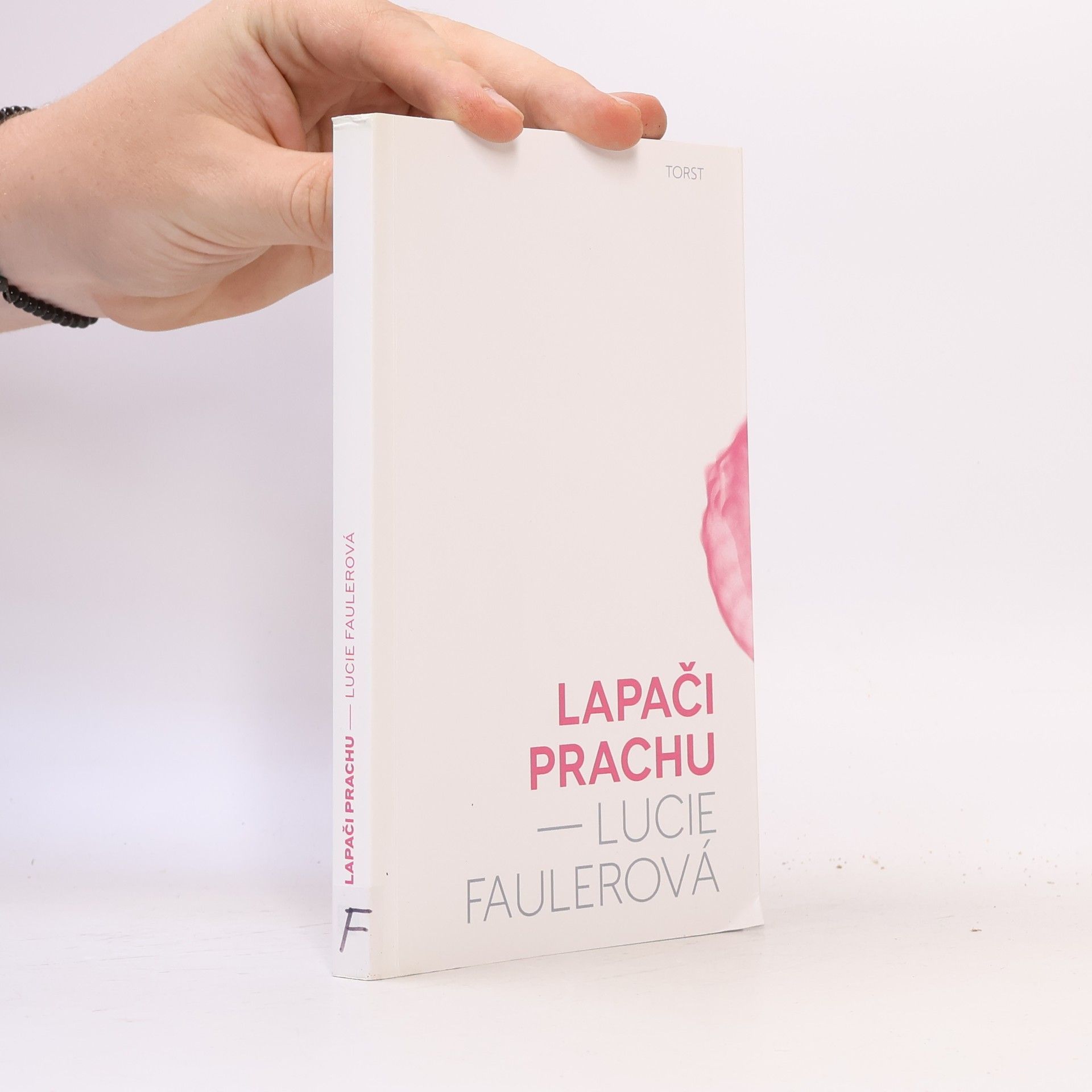 Lucie Faulerová Lapači prachu