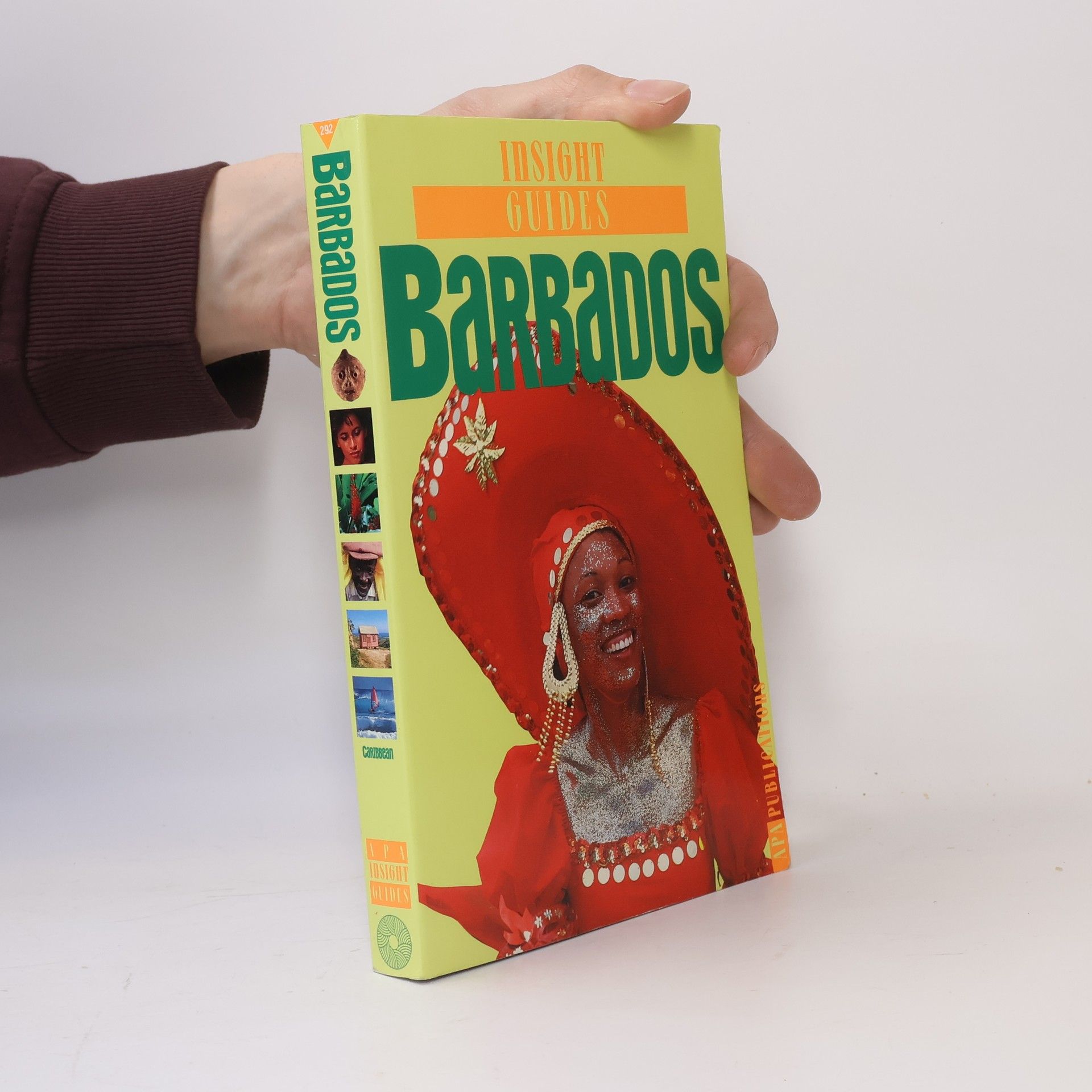 Rachel Wilder Barbados Insight Guide