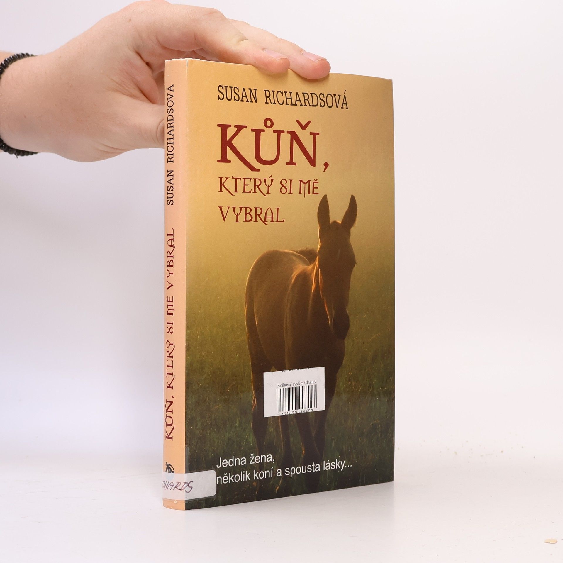 Kůň, který si mě vybral : jedna žena, několik koní a spousta lásky