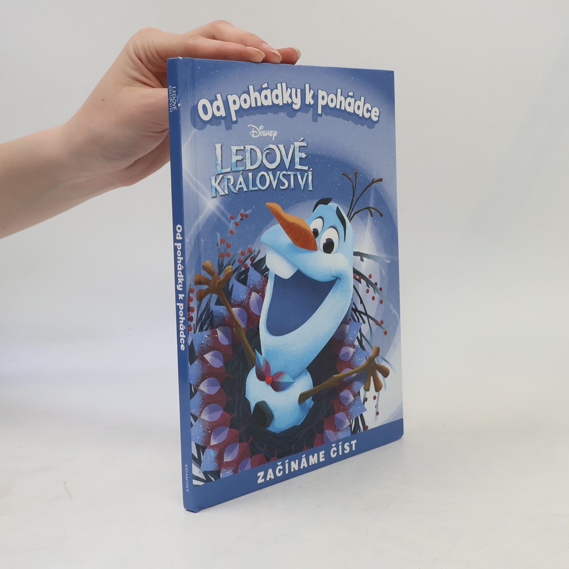 Victoria Saxon Od pohádky k pohádce. Ledové království