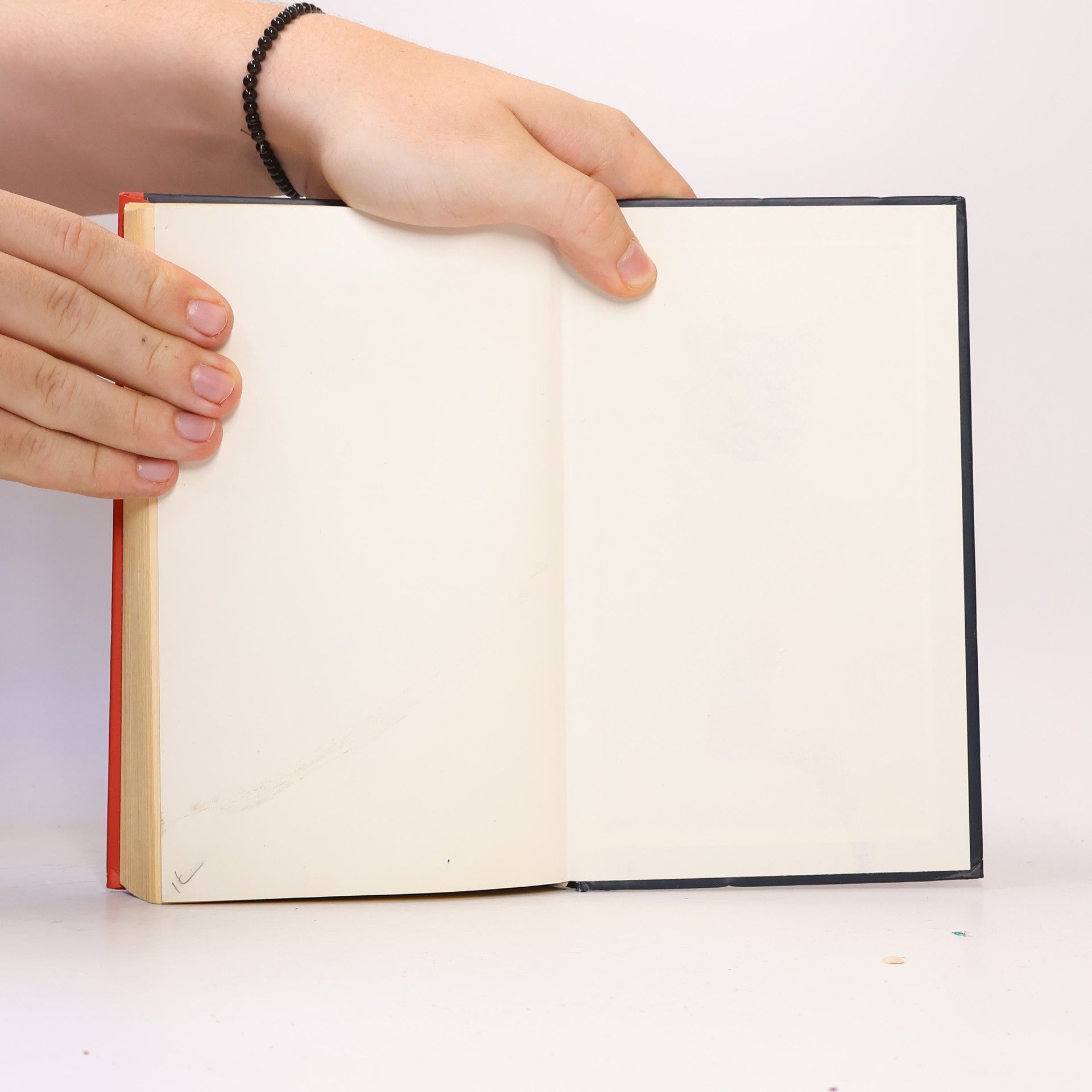 Ruth Rendell Záhada zmizelých dětí