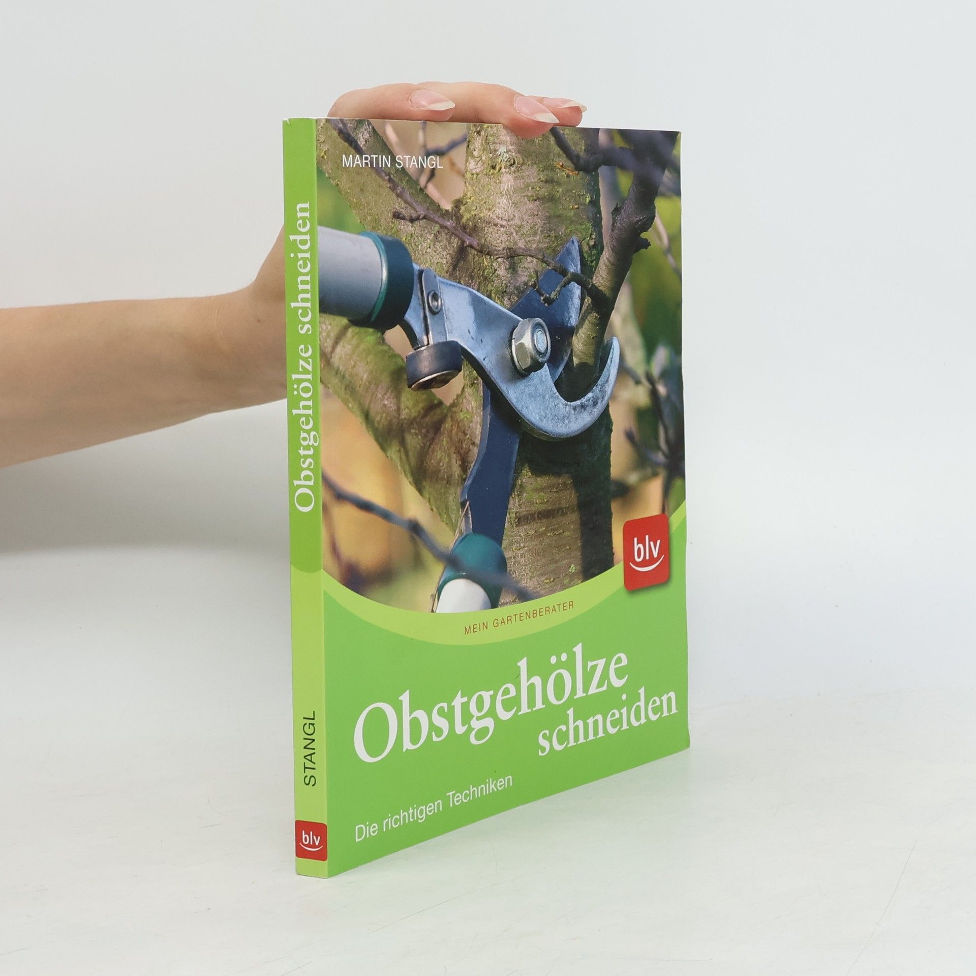 Martin Stangl Obstgehölze schneiden