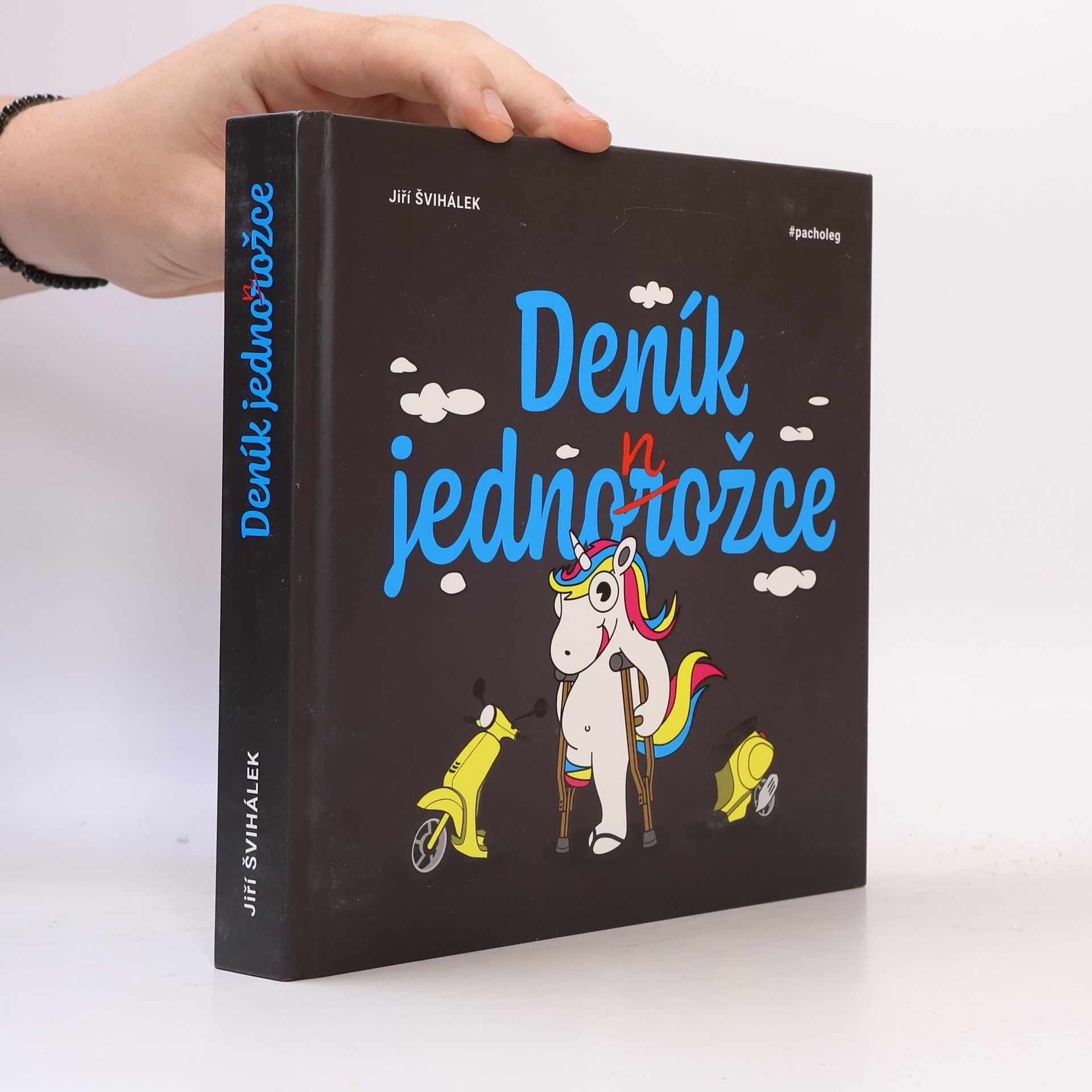 Jiří Švihálek Deník jednonožce