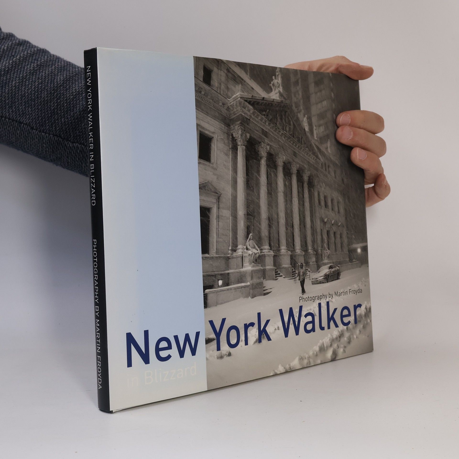 Martin Froyda New York Walker