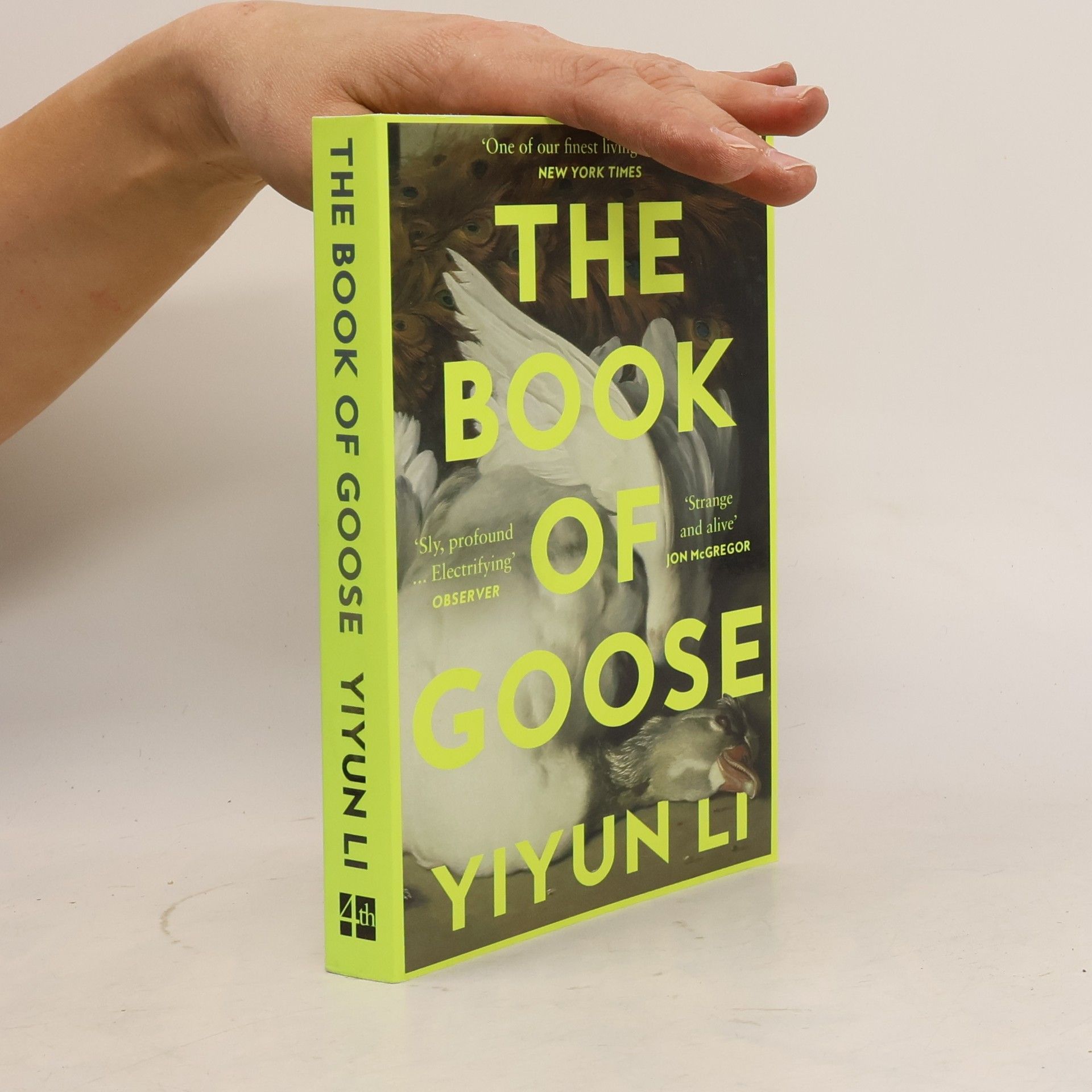 Yiyun Li The Book of Goose