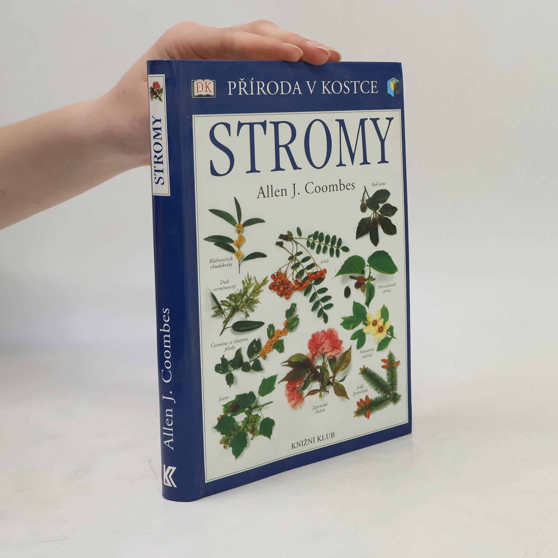 Allen J. Coombes Stromy
