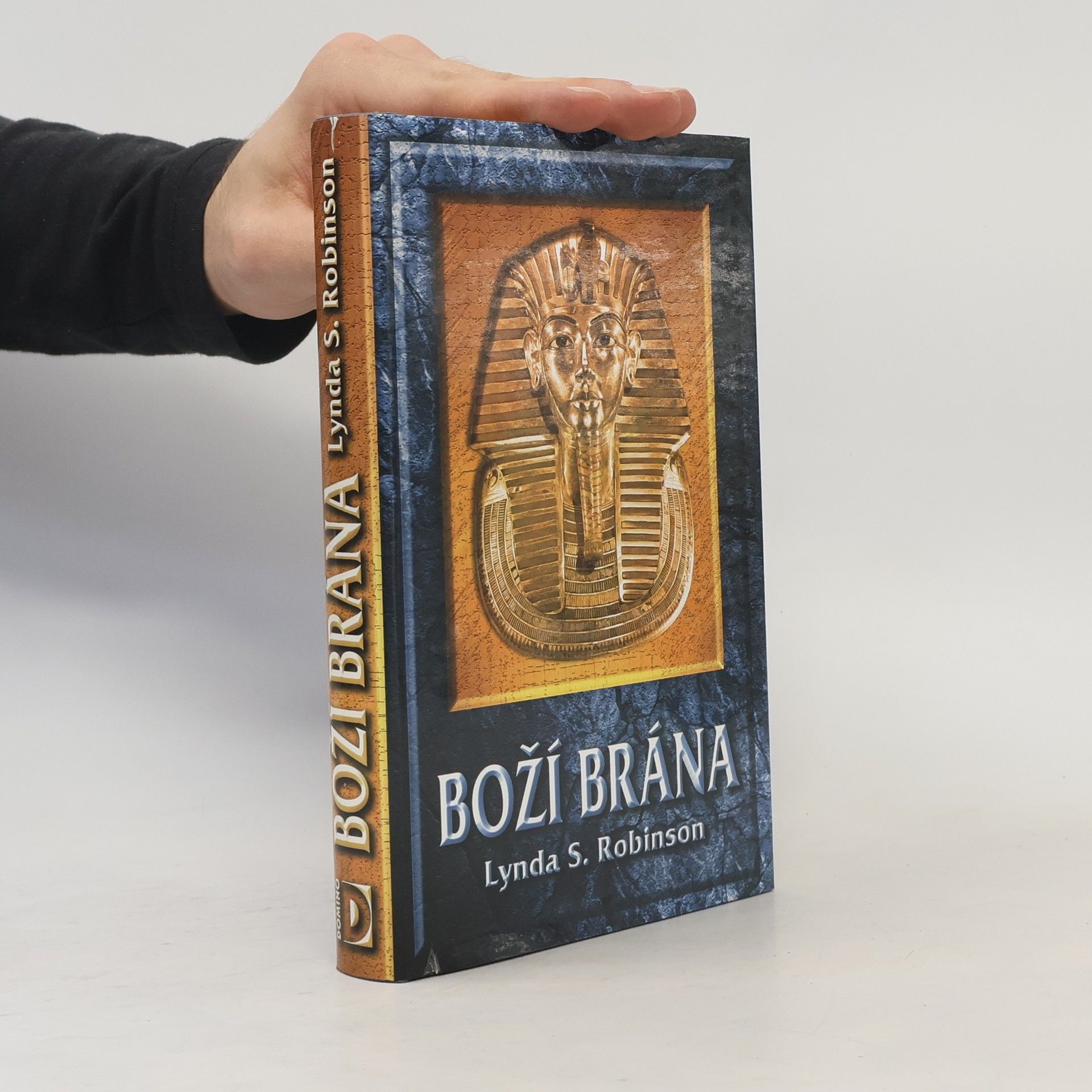 Lynda Suzanne Robinson Boží brána