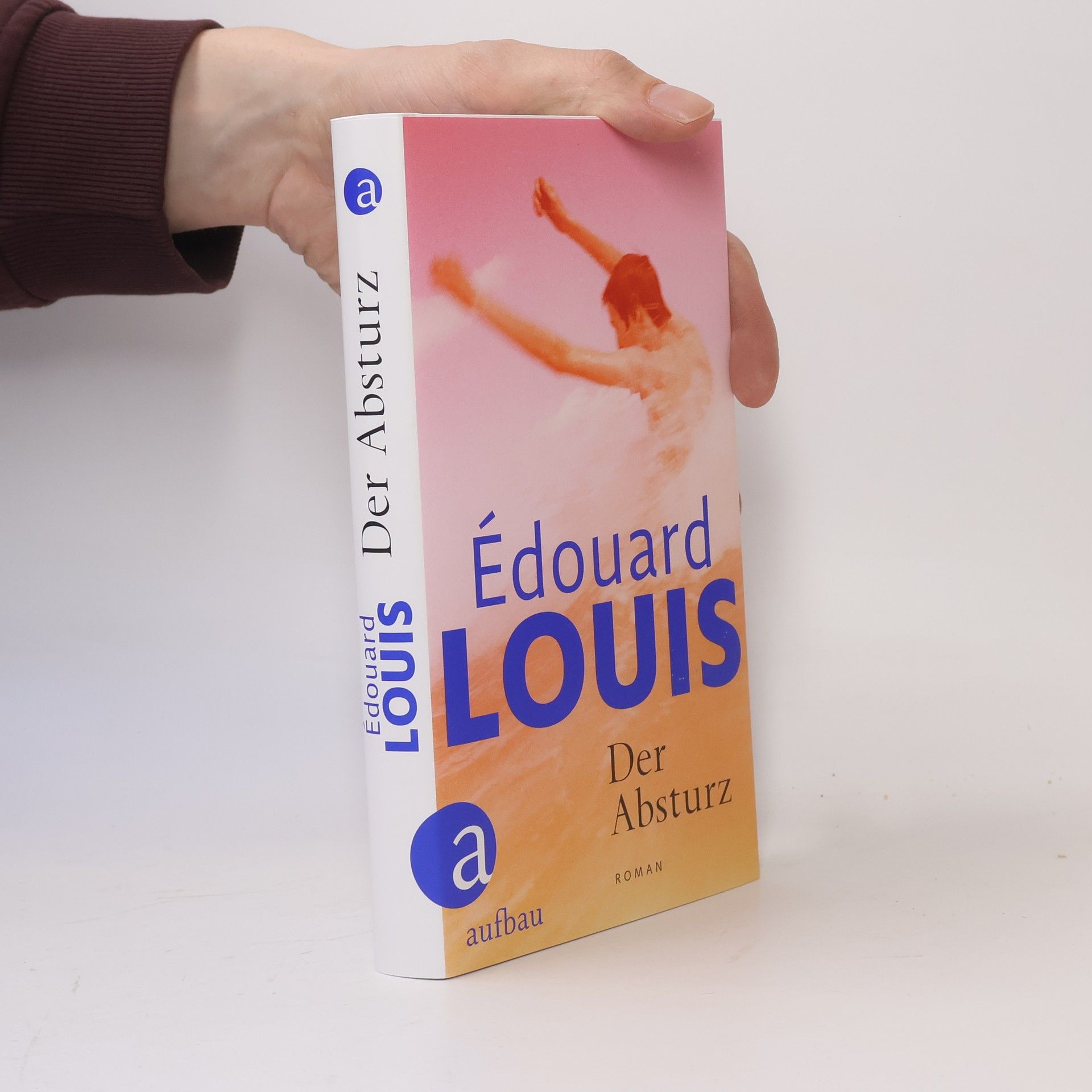 Édouard Louis Der Absturz