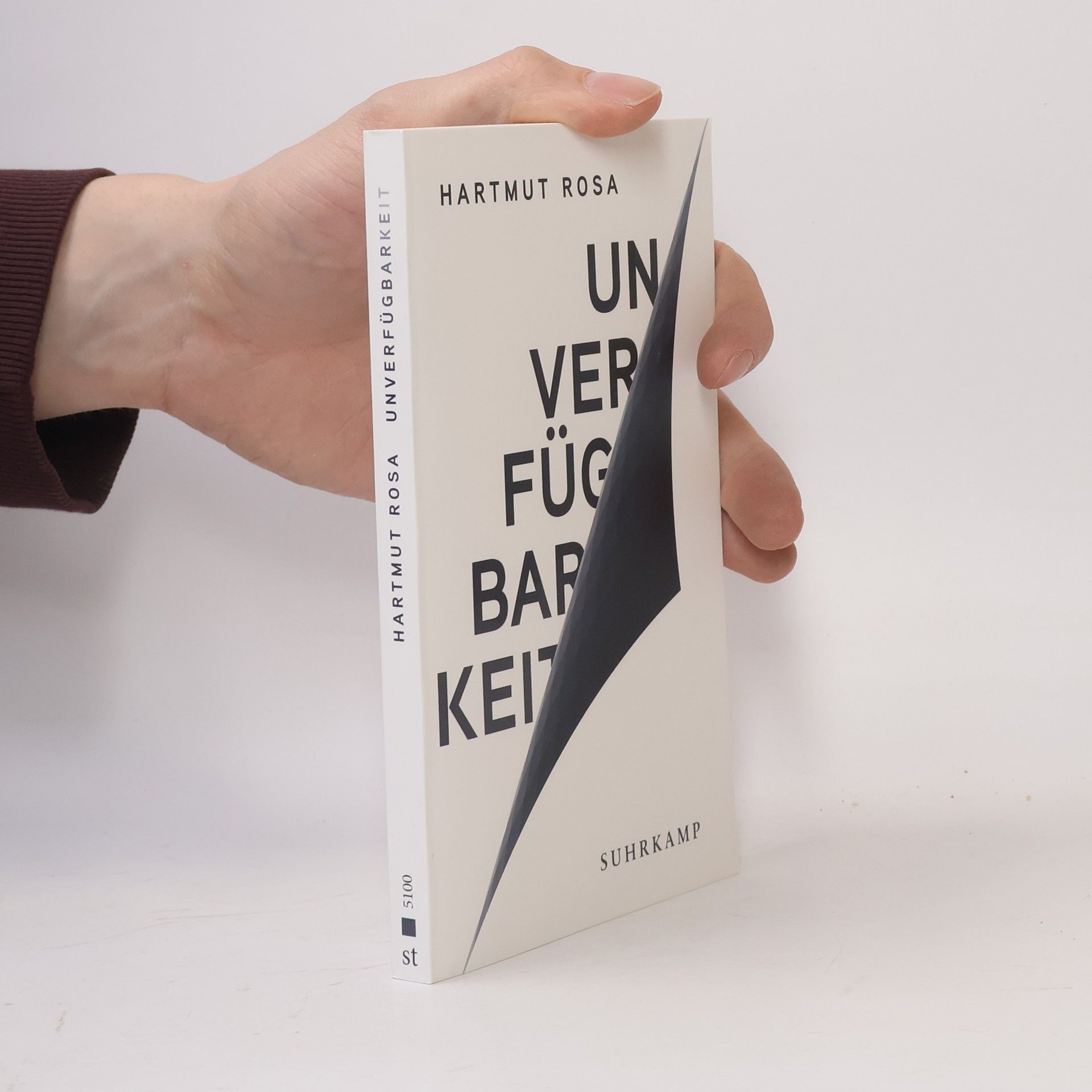 Hartmut Rosa Unverfügbarkeit