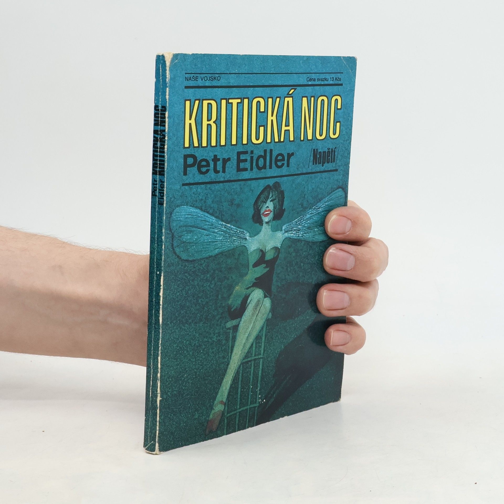 Petr Eidler Kritická noc
