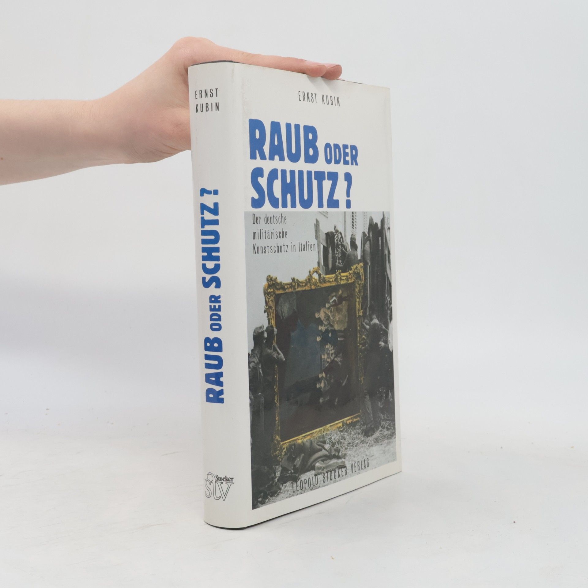 Ernst Kubin Raub oder Schutz?