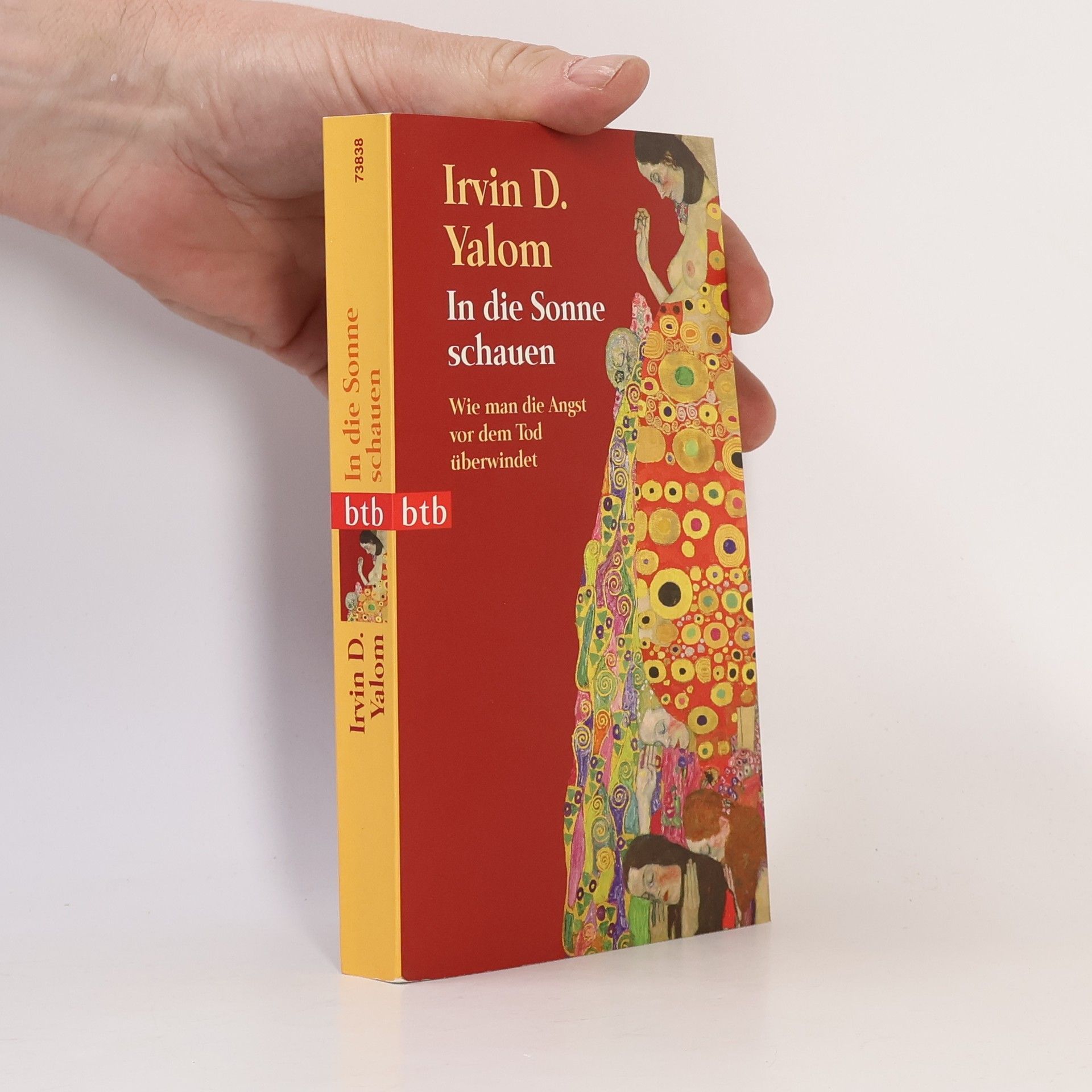 Irvin Yalom In die Sonne schauen