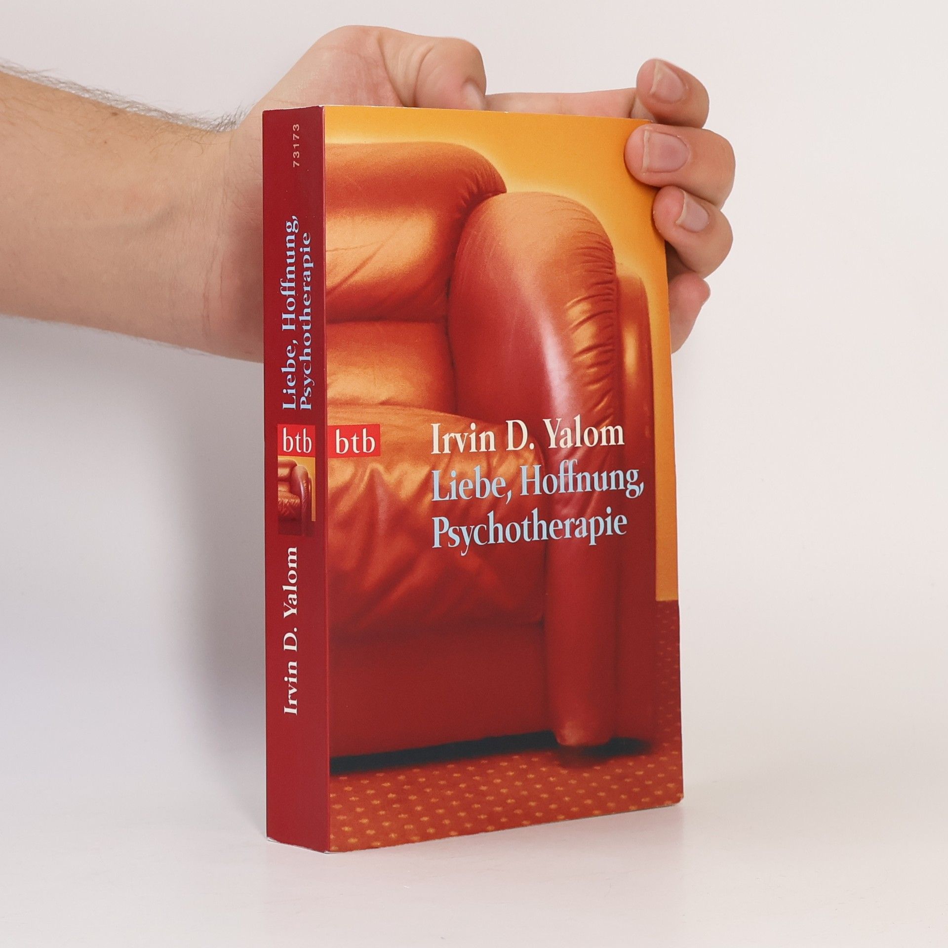 Irvin Yalom Liebe, Hoffnung, Psychotherapie