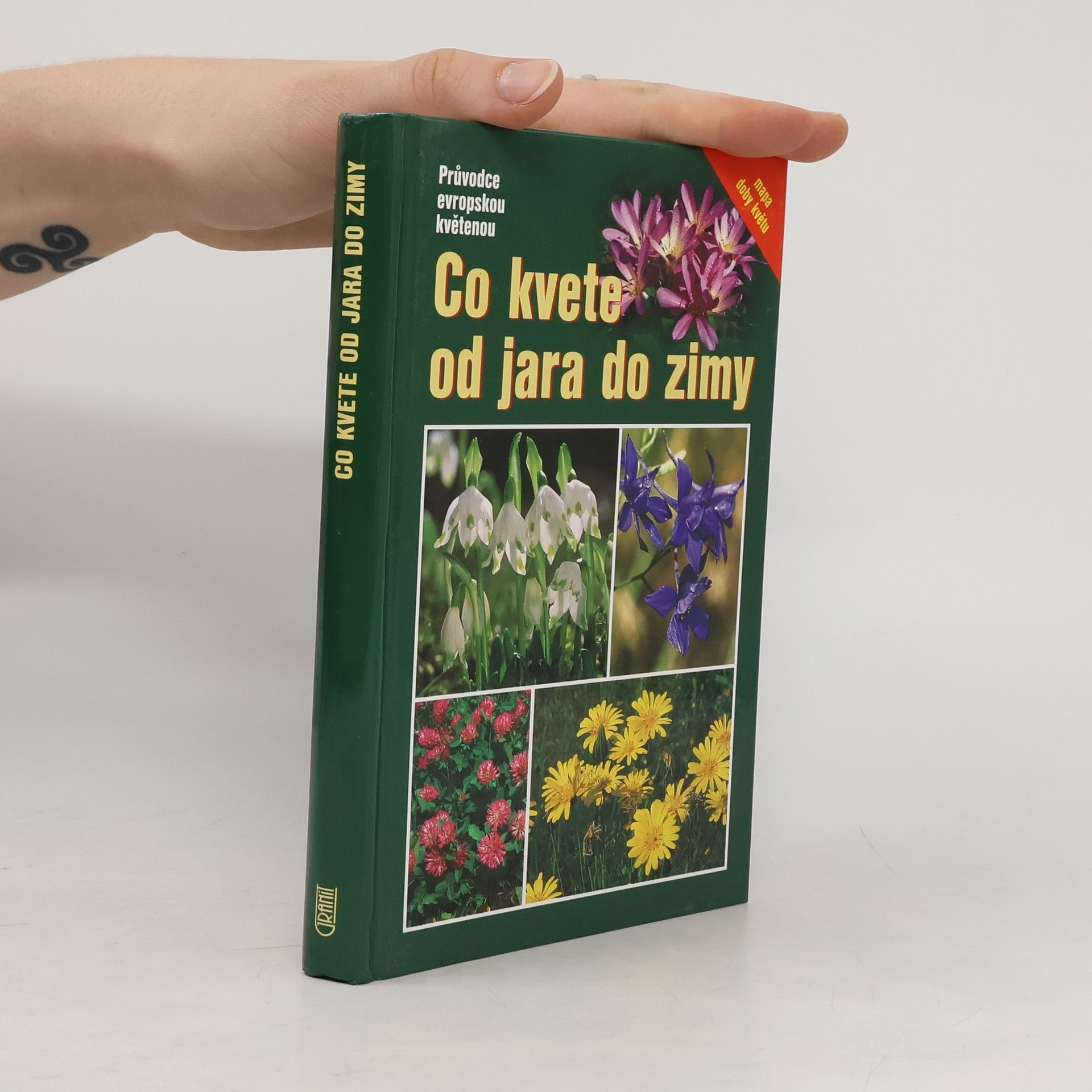 Eva-Maria Dreyer Co kvete od jara do zimy