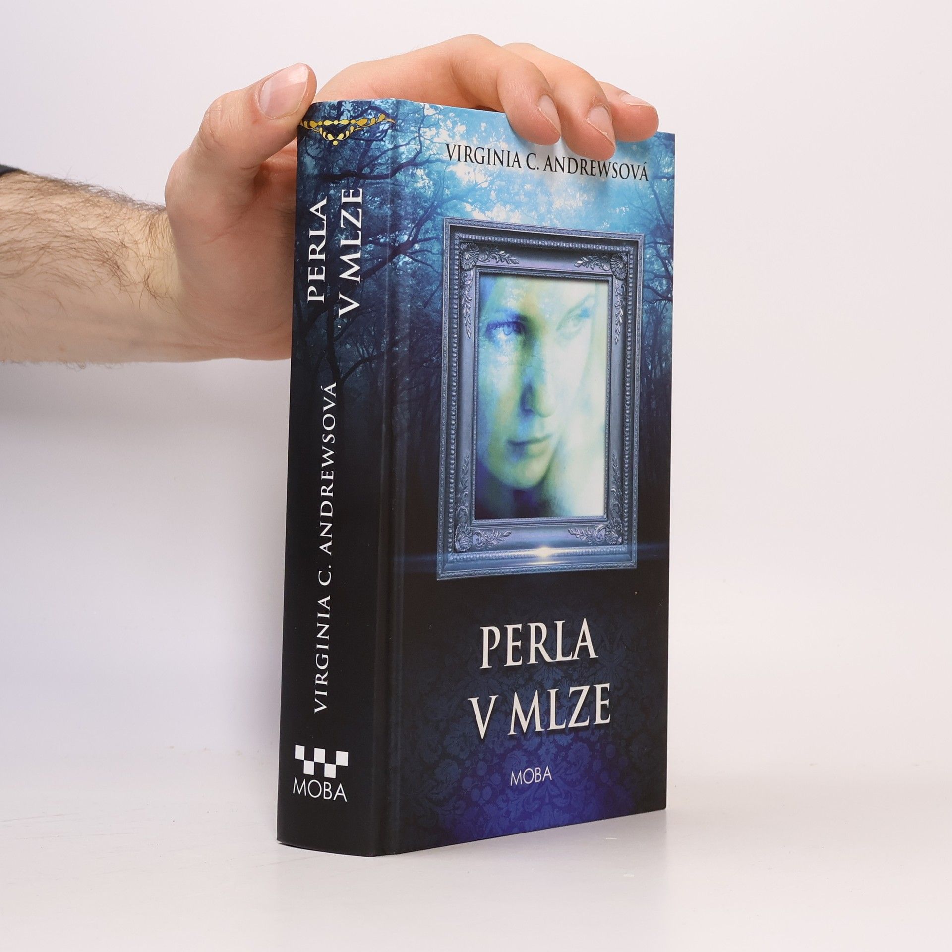 Virginia C. Andrewsová Perla v mlze