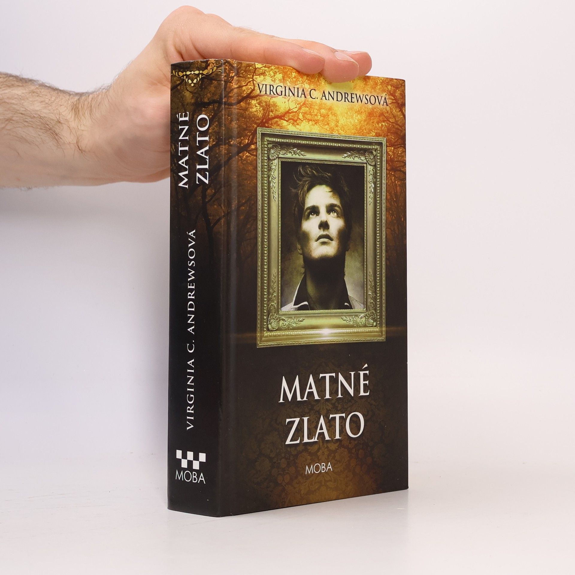 V. C. Andrews Matné zlato