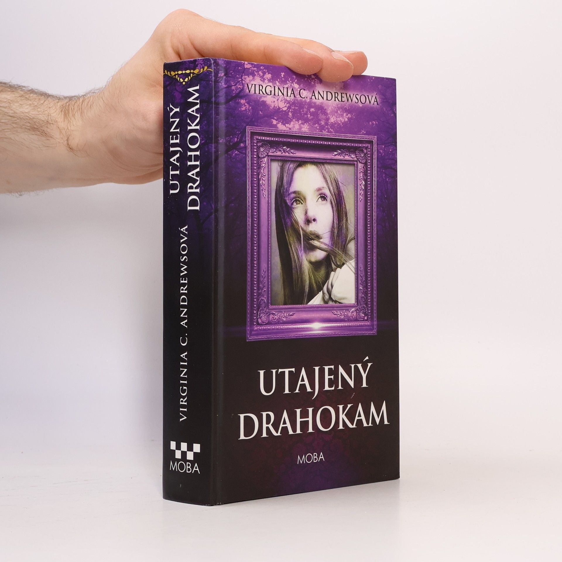 Virginia C. Andrewsová Utajený drahokam