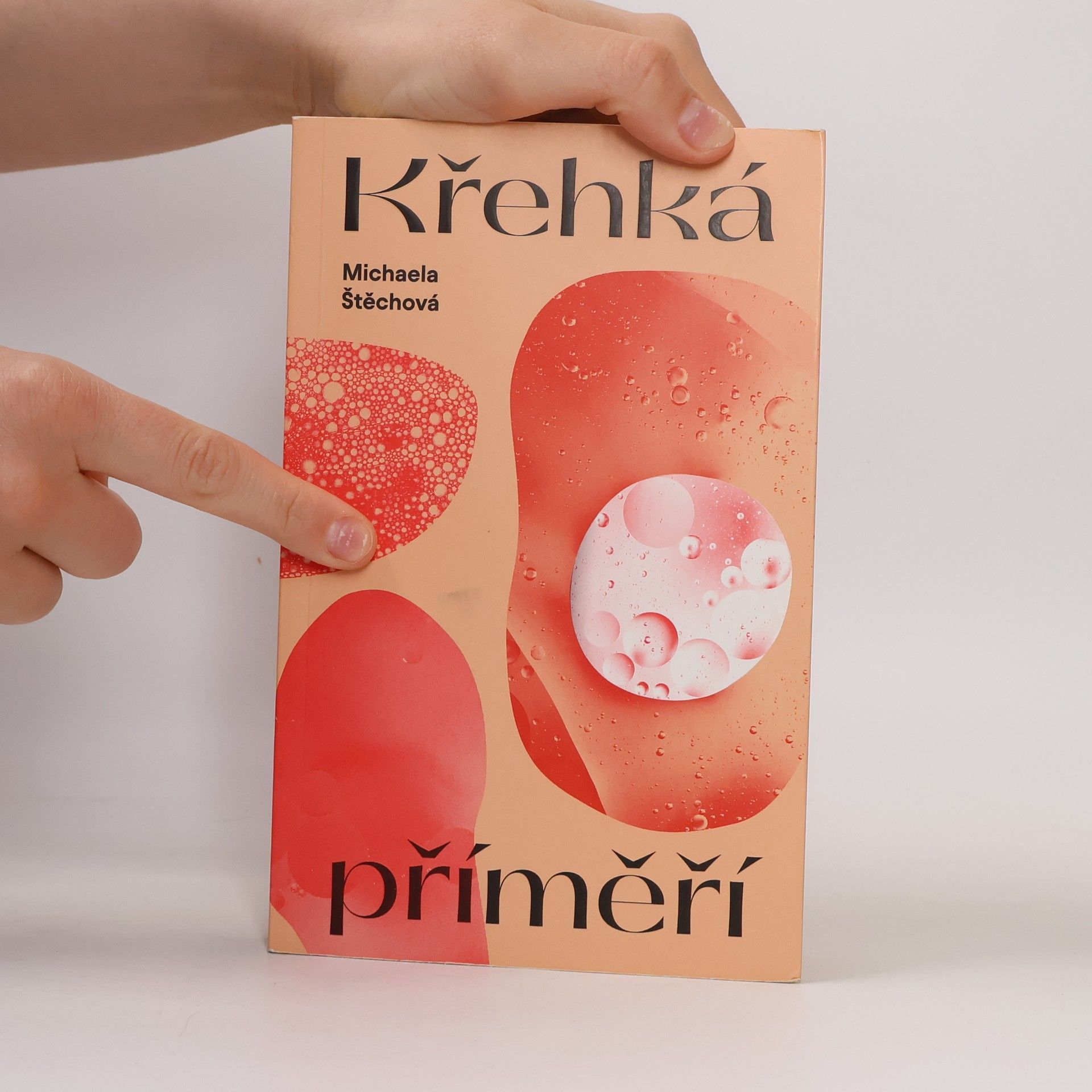 Michaela Štěchová Křehká příměří