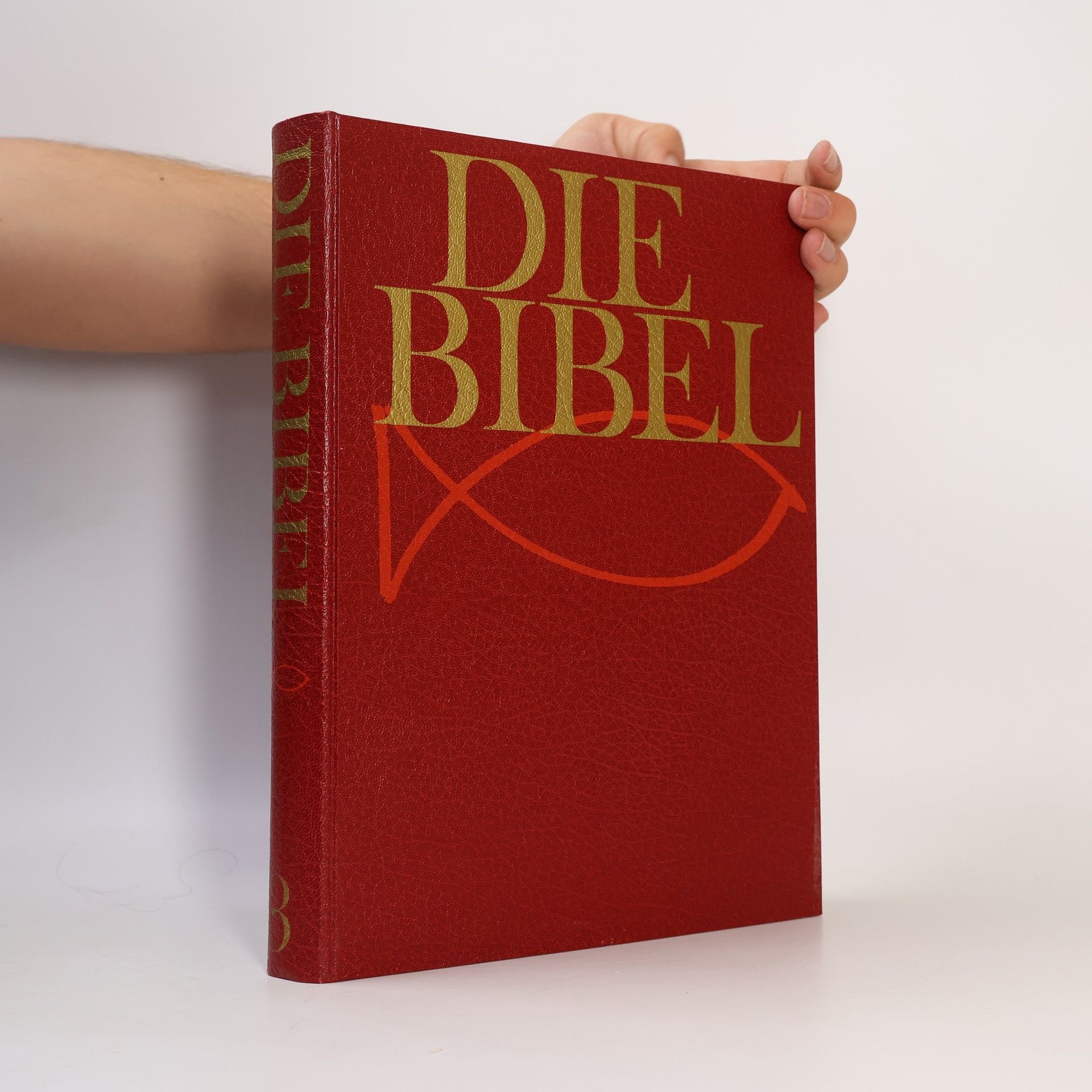 Autorenkollektiv Die Bibel 3