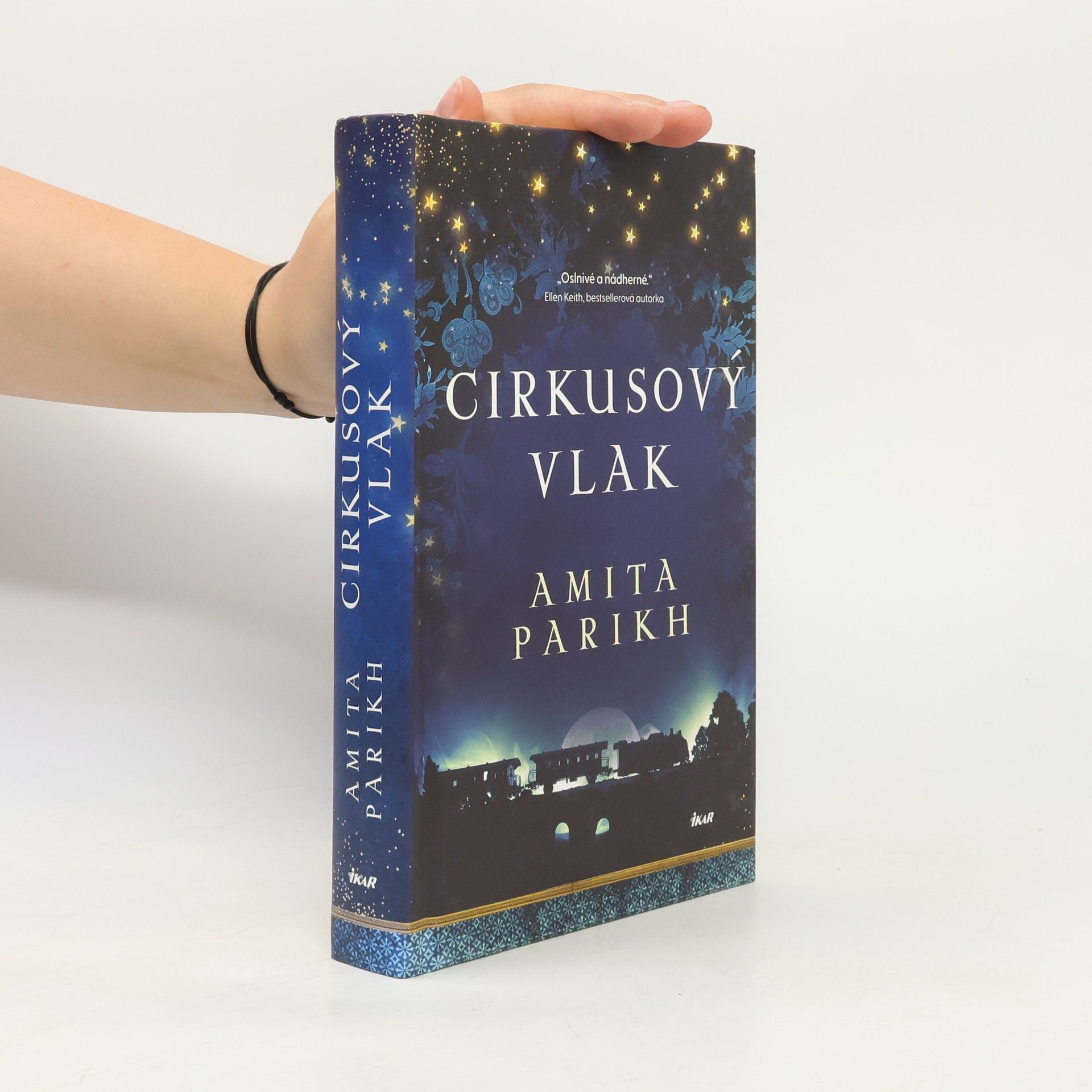 Amita Parikh Cirkusový vlak