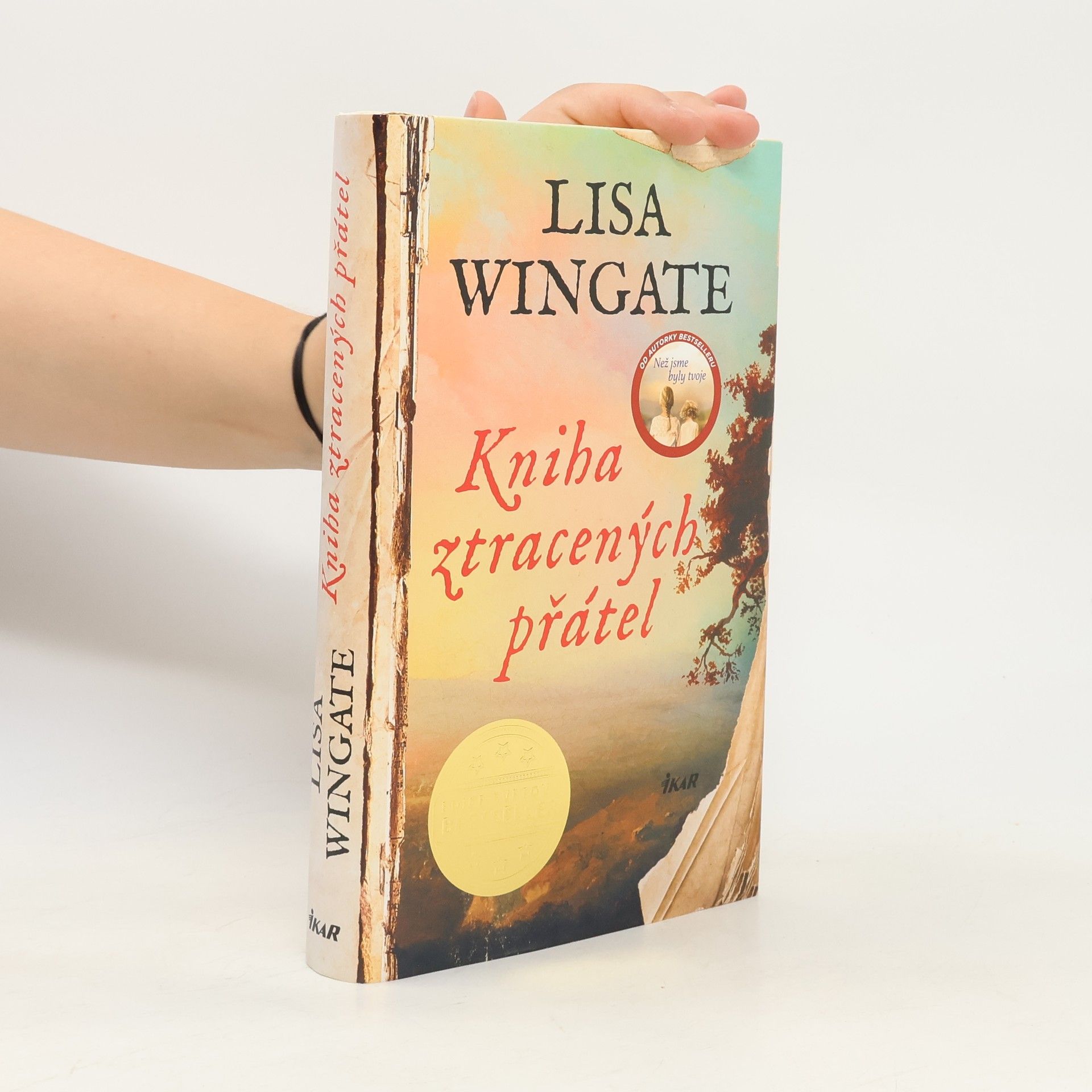 Lisa Wingate Kniha ztracených přátel