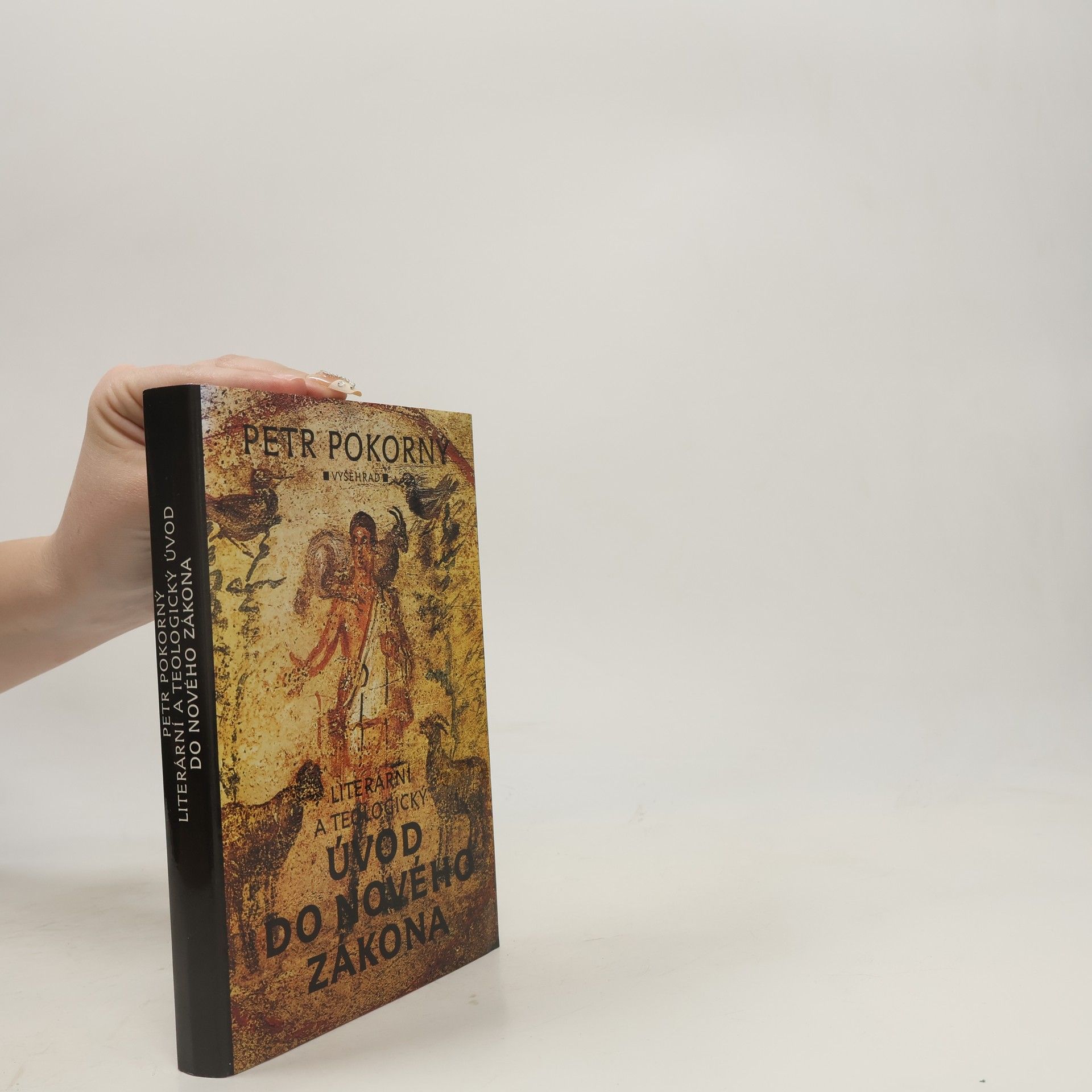 Petr Pokorný Literární a teologický úvod do Nového zákona