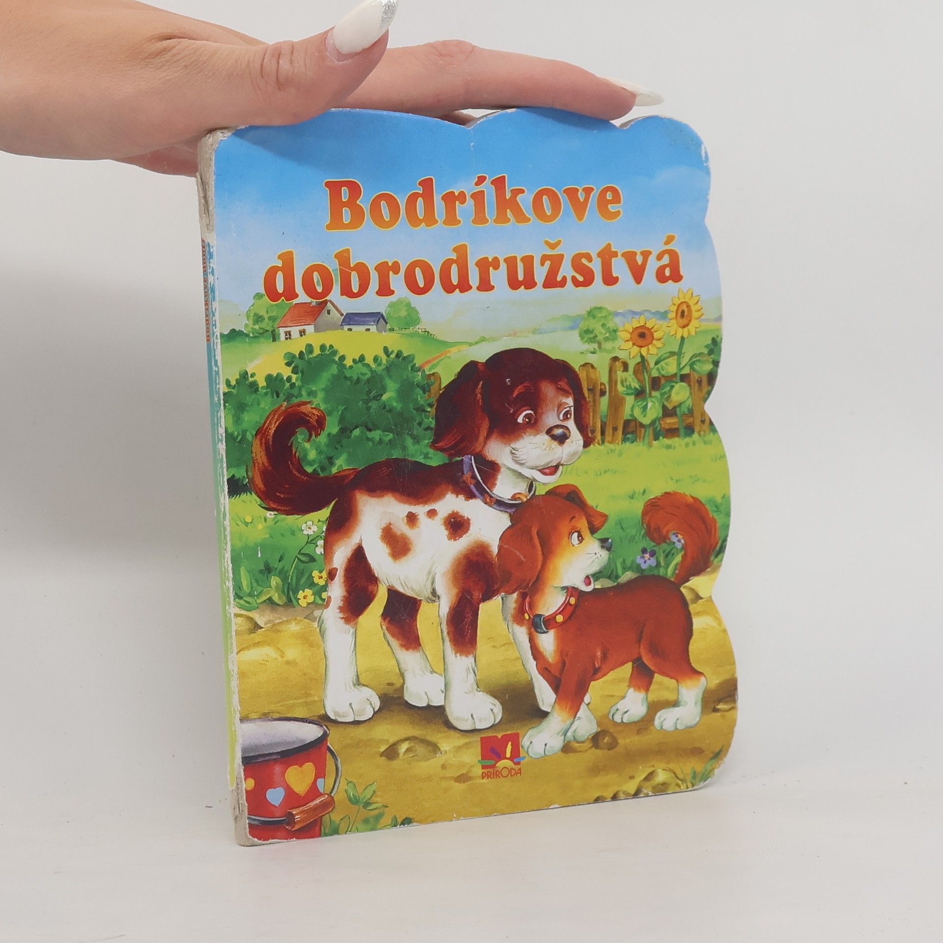 Táňa Pastorková Bodríkove dobrodružstvá