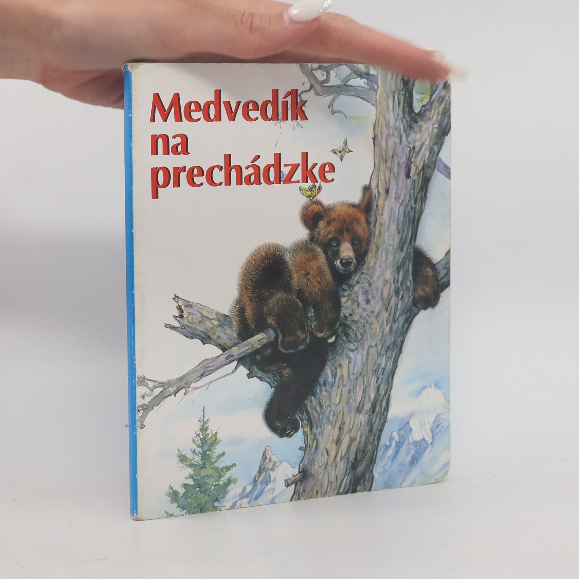 Autores varios Medvedík na prechádzke