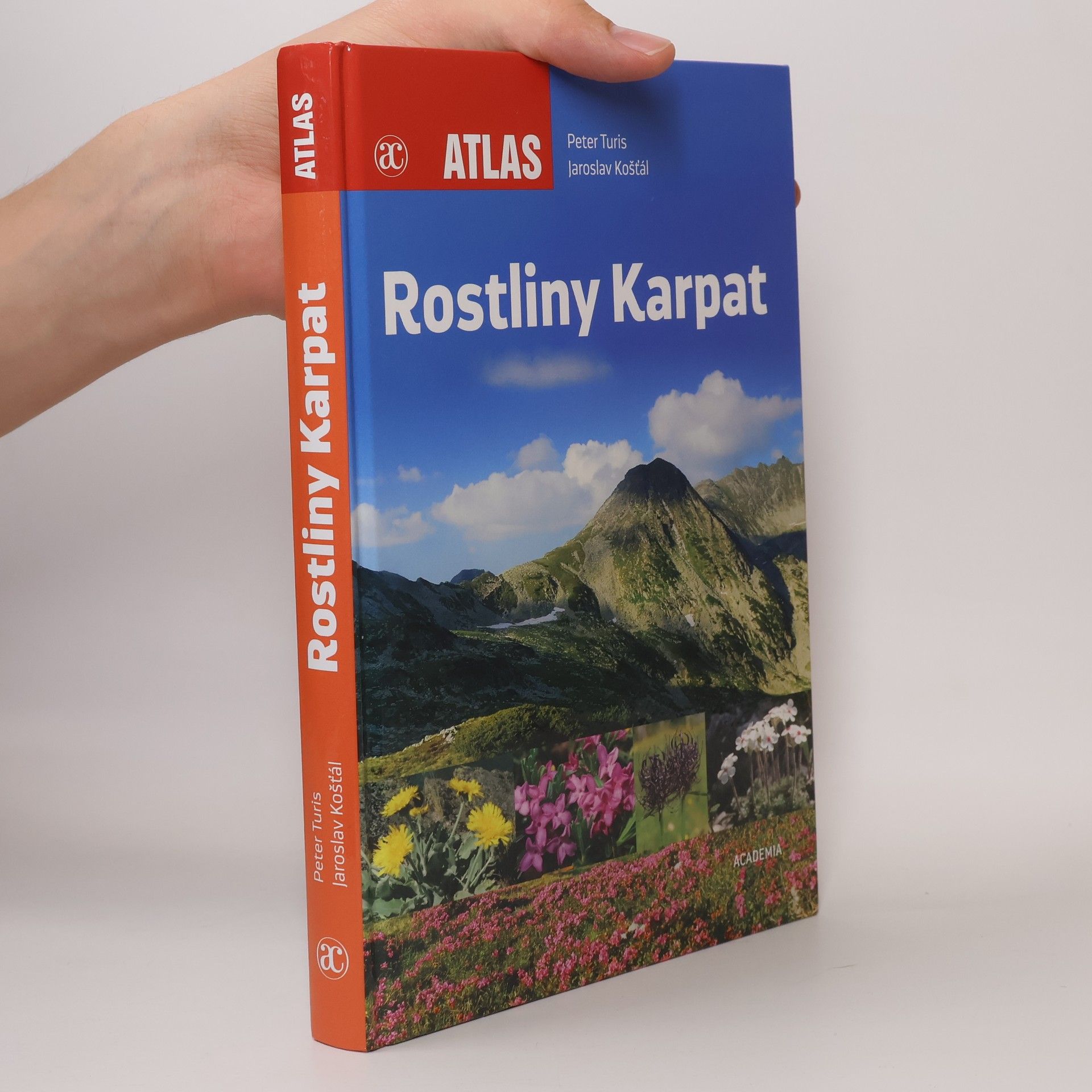 Peter Turis Rostliny Karpat