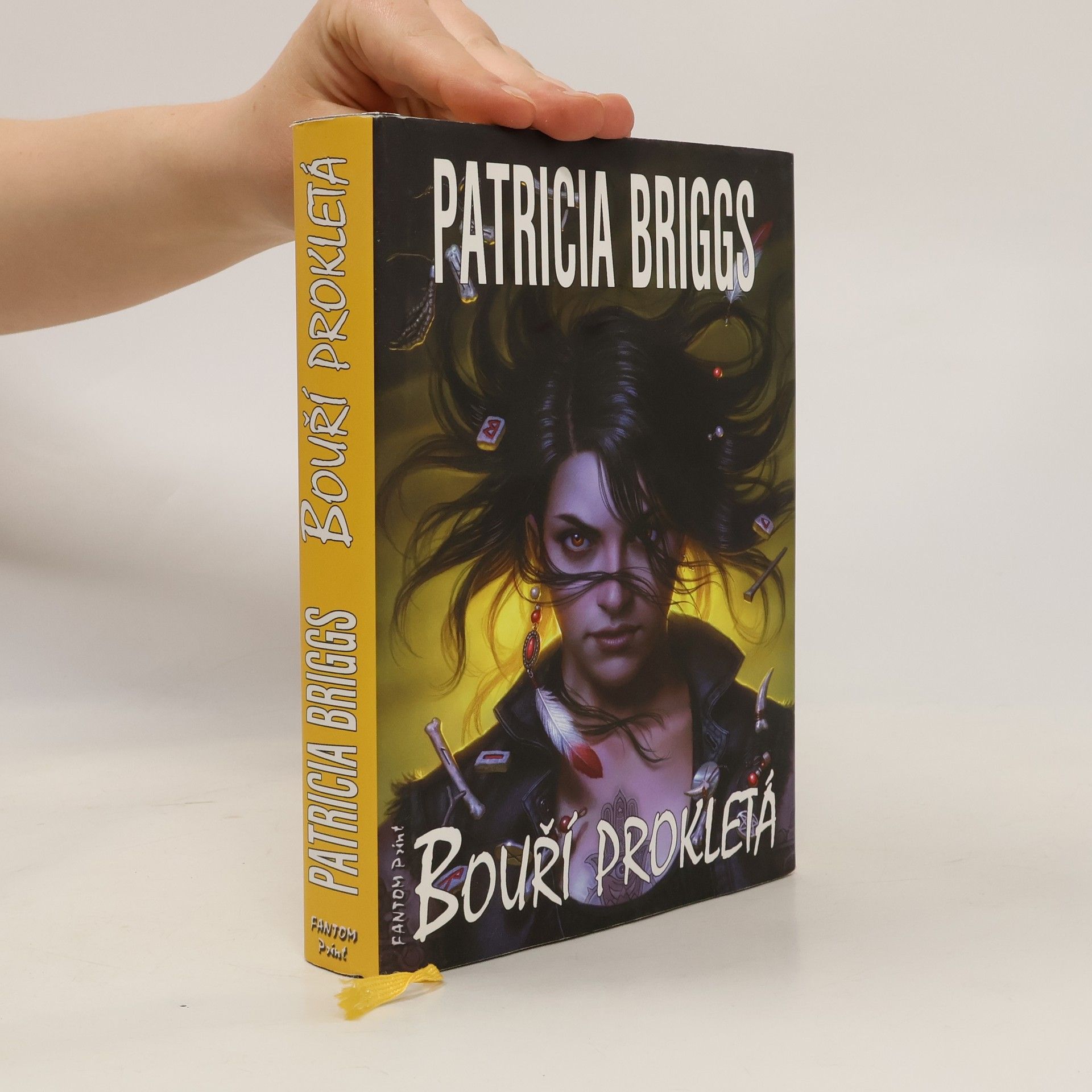 Patricia Briggs Bouří prokletá