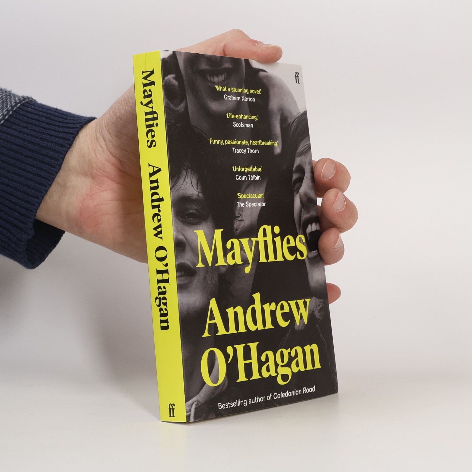 Andrew OHagan Mayflies