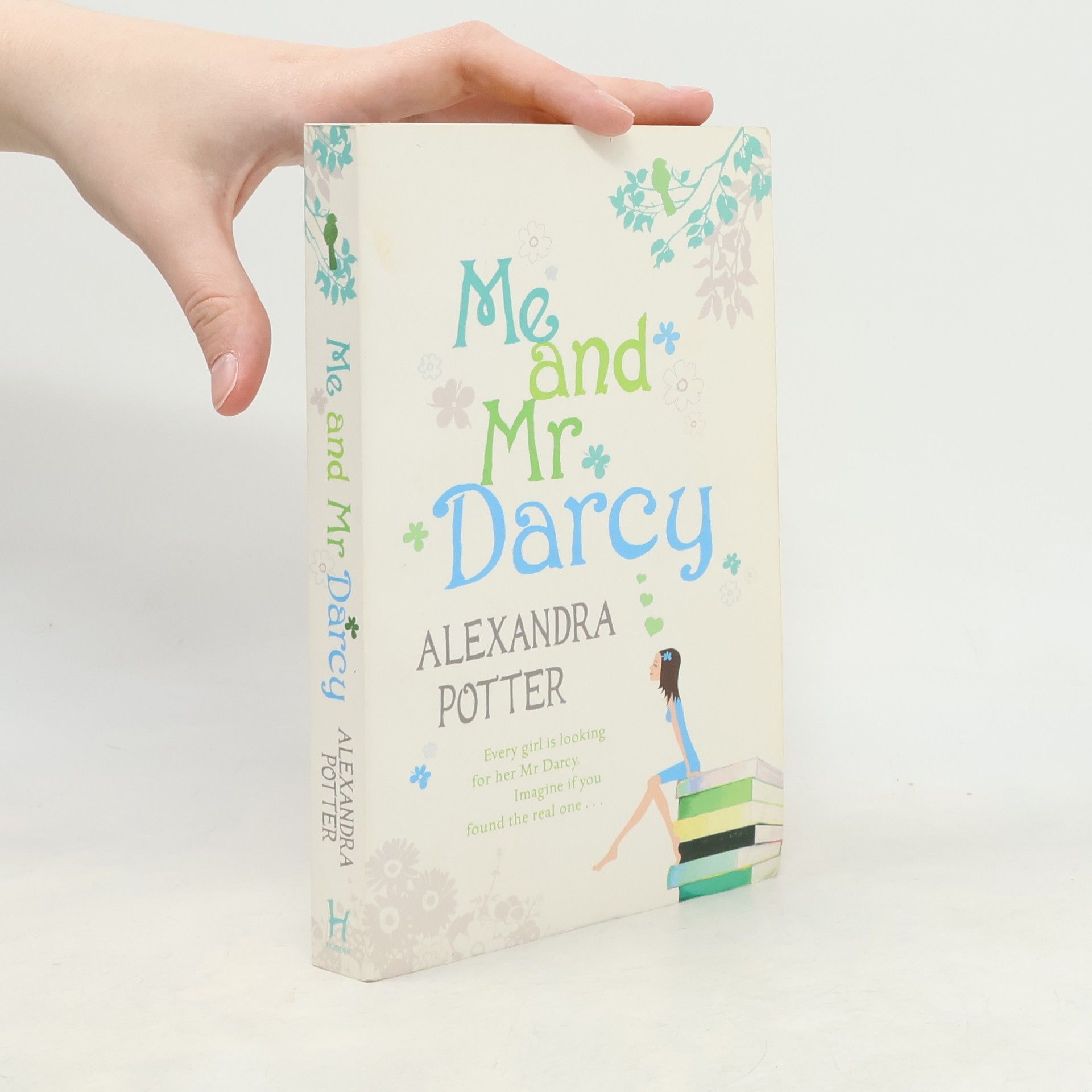 Alexandra Potter Me and Mr Darcy
