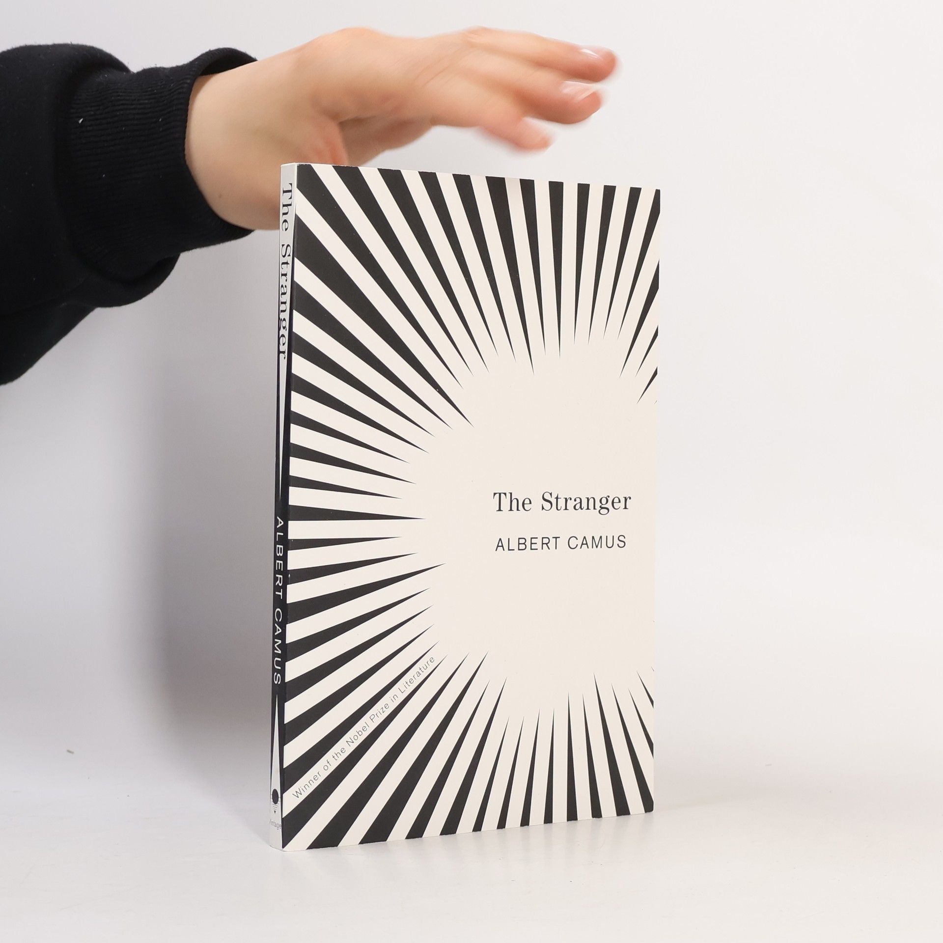 Albert Camus The Stranger