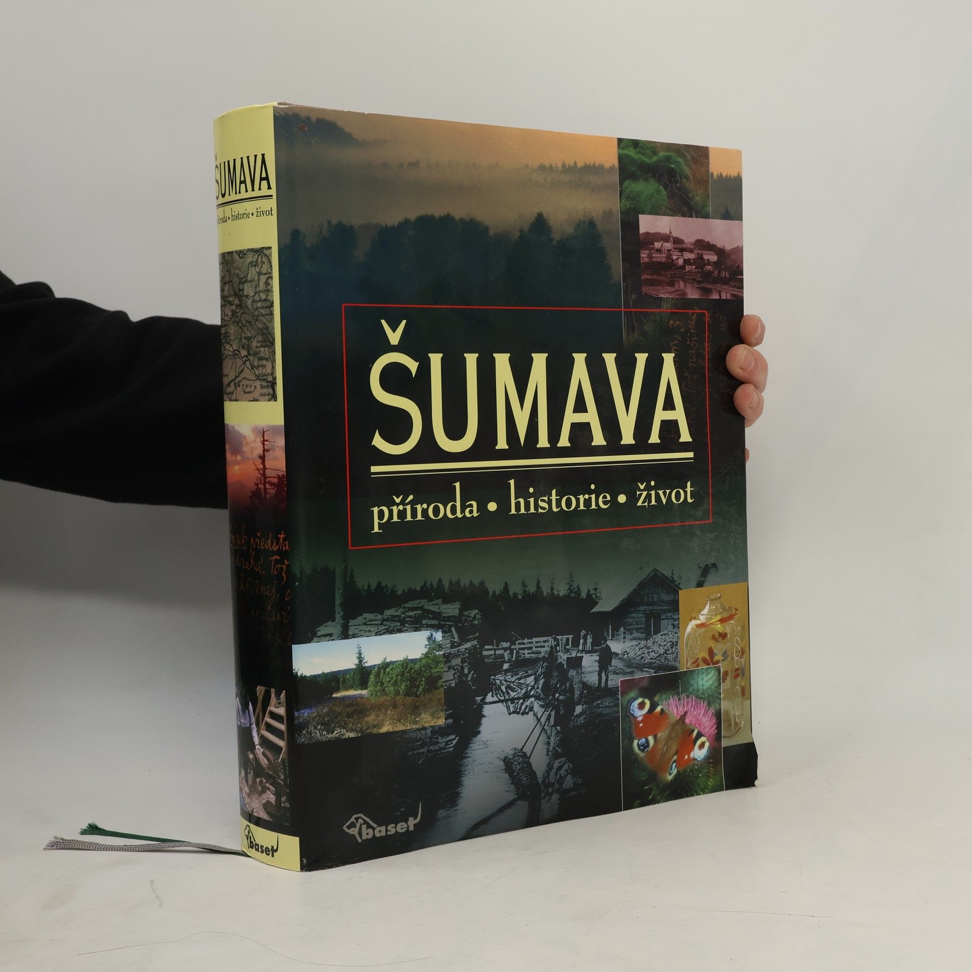Autorenkollektiv Šumava. Příroda, historie, život