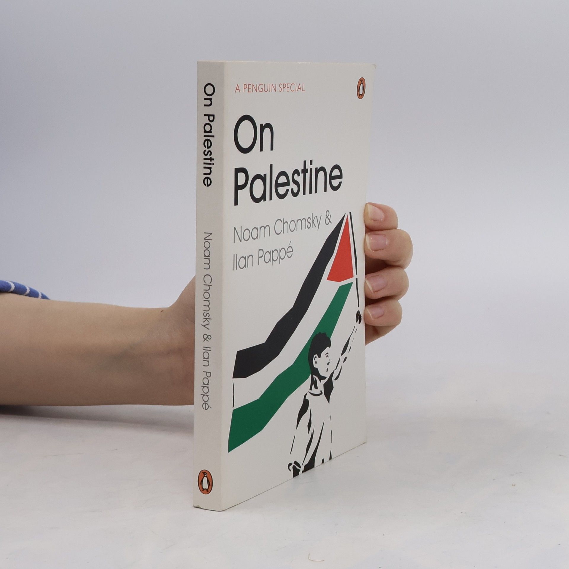 Noam Chomsky On Palestine