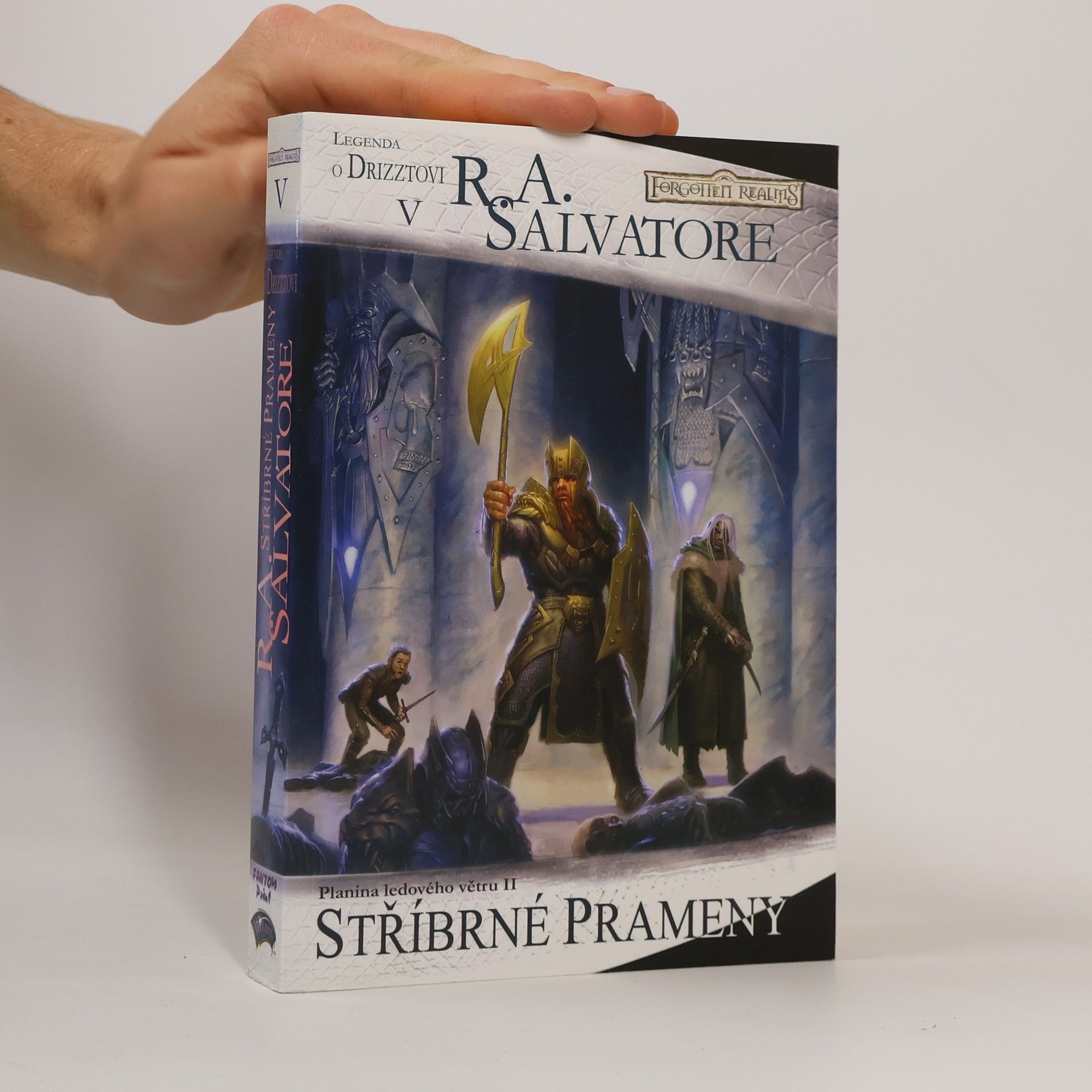 R. A. Salvatore Planina ledového větru. II, Stříbrné prameny