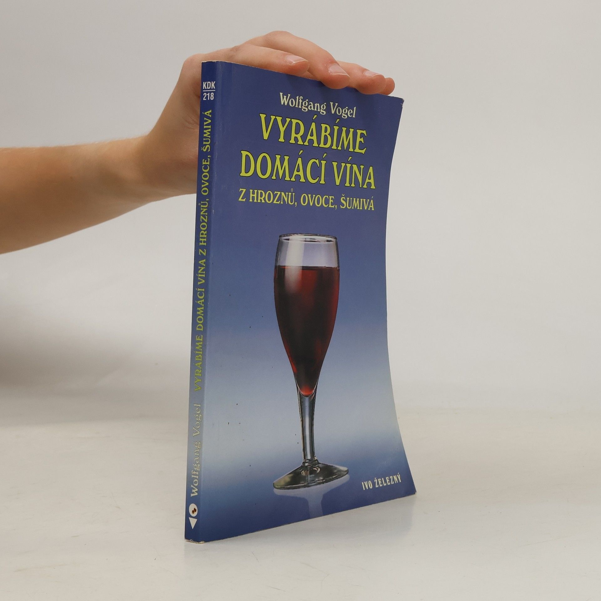 Wolfgang Vogel Vyrábíme domácí vína z hroznů, ovoce, šumivá