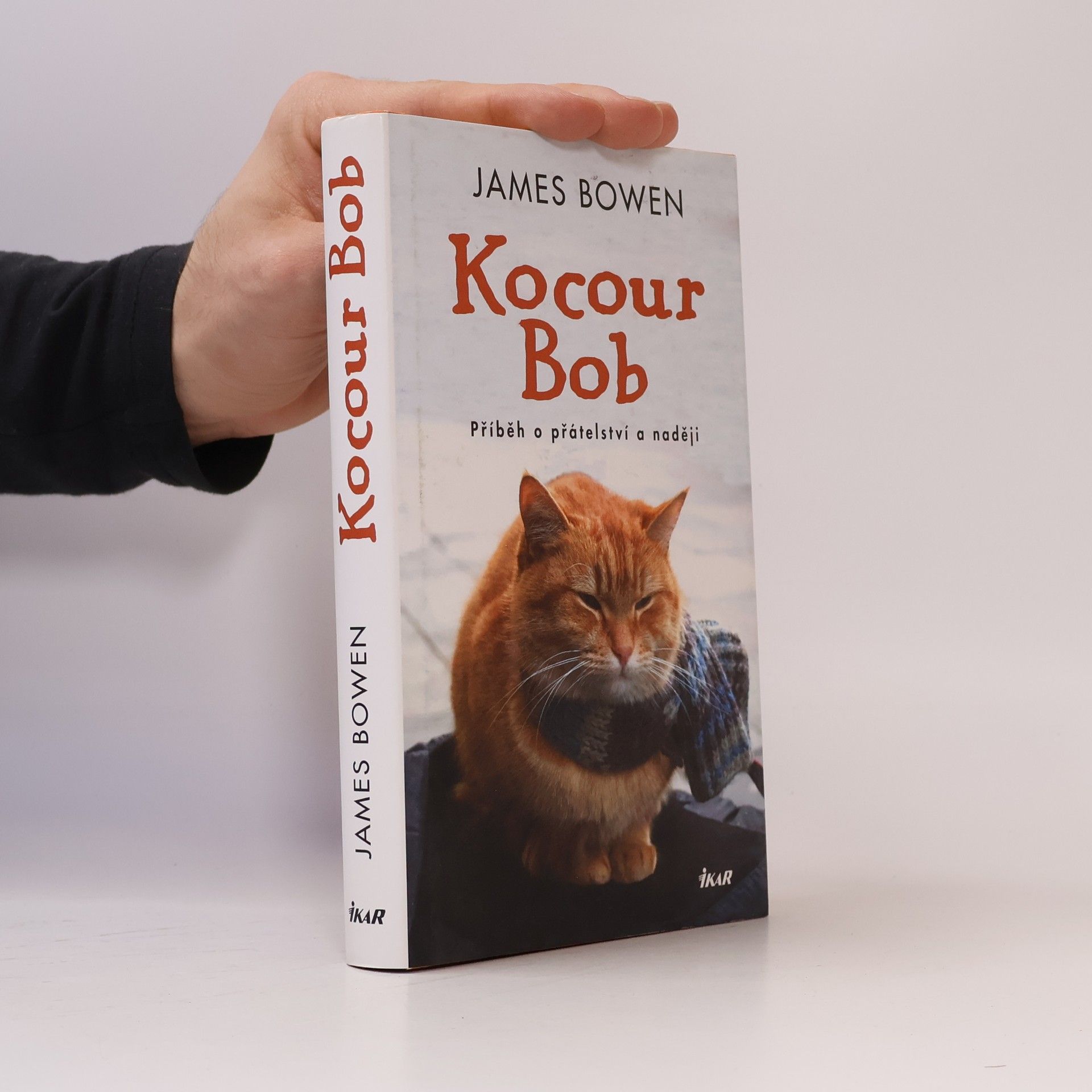 James Bowen Kocour Bob