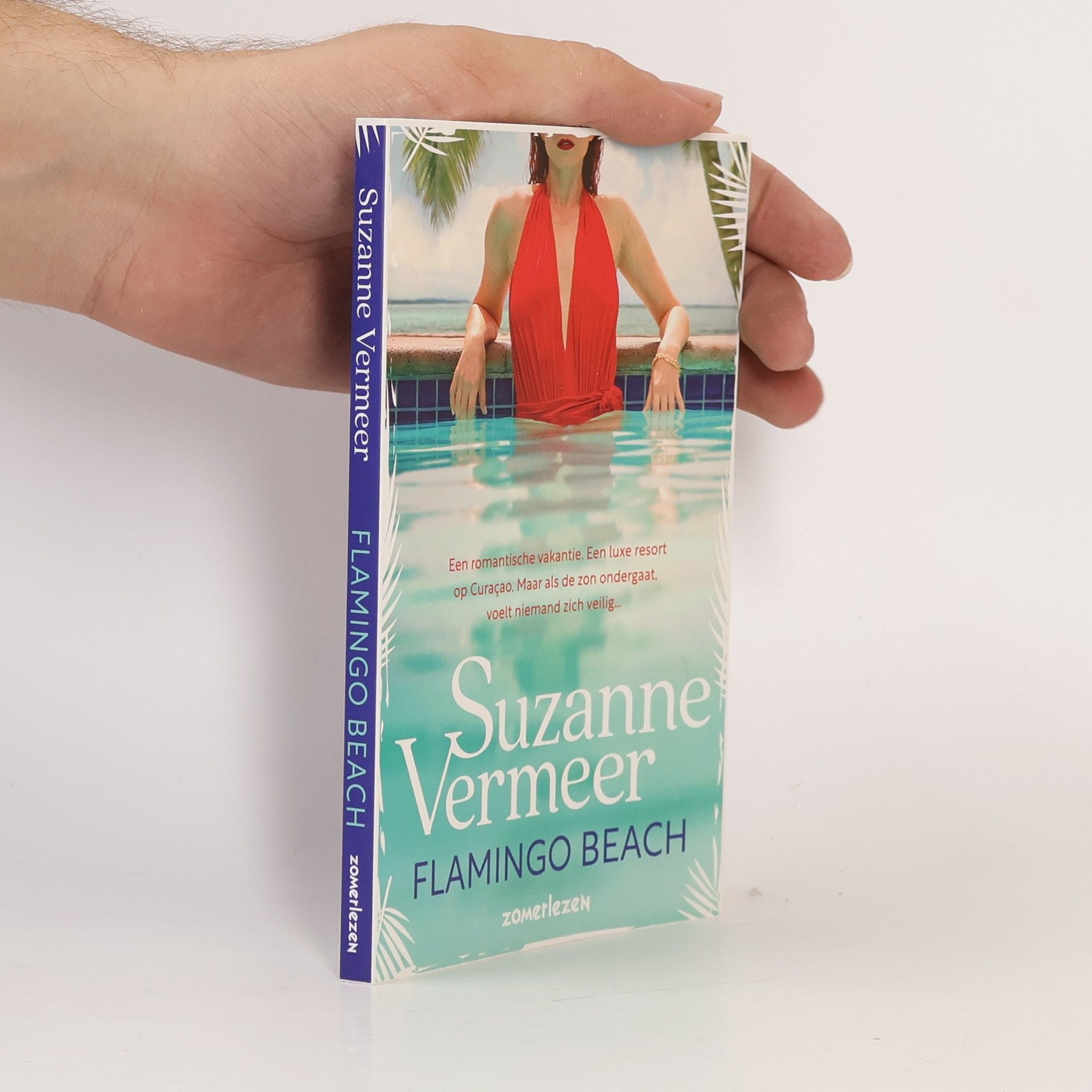 Suzanne Vermeer Flamingo Beach