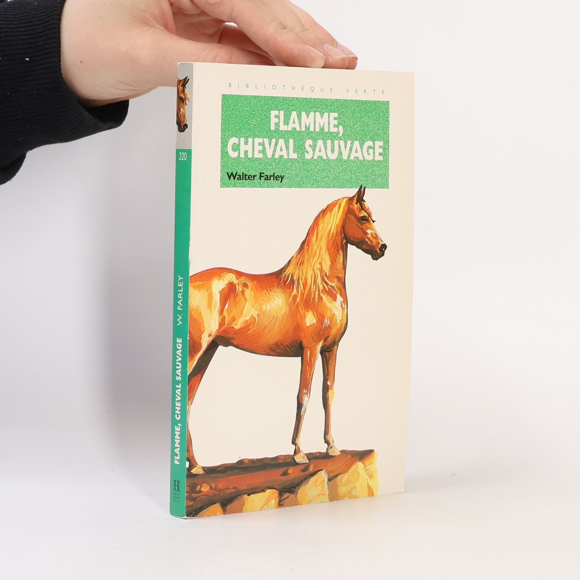Walter Farley Flamme, cheval sauvage