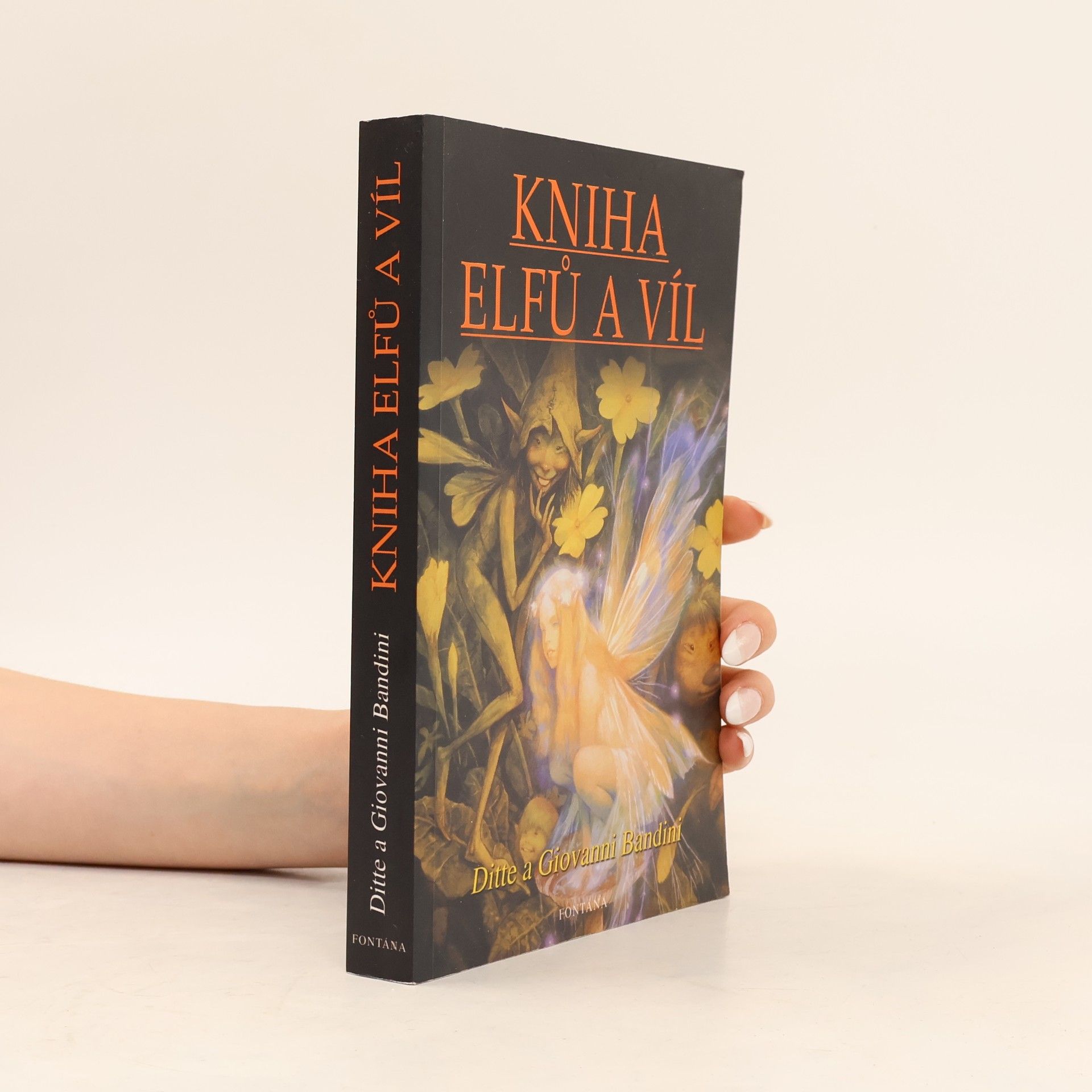 Kniha elfů a víl