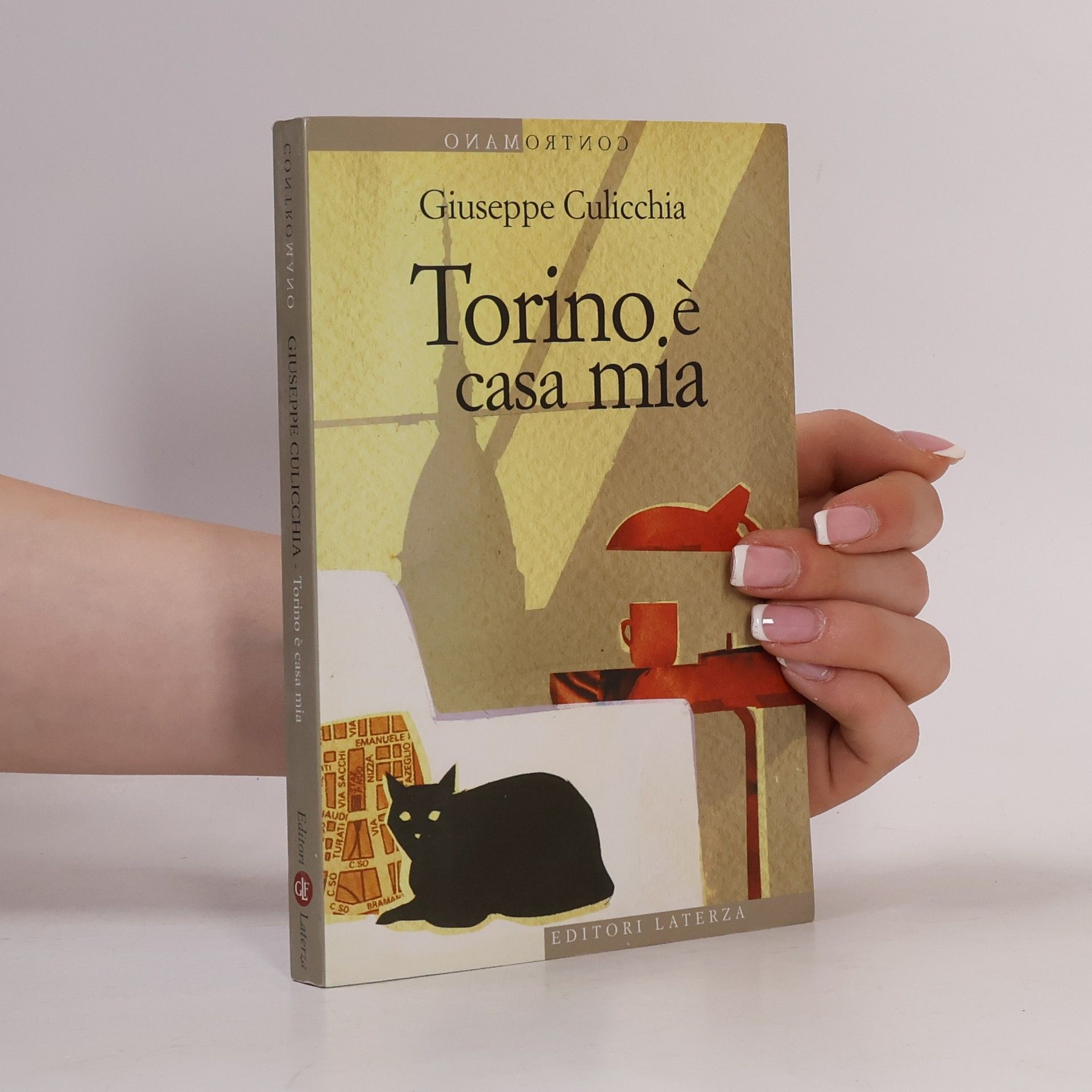 Giuseppe Culicchia Torino è casa mia
