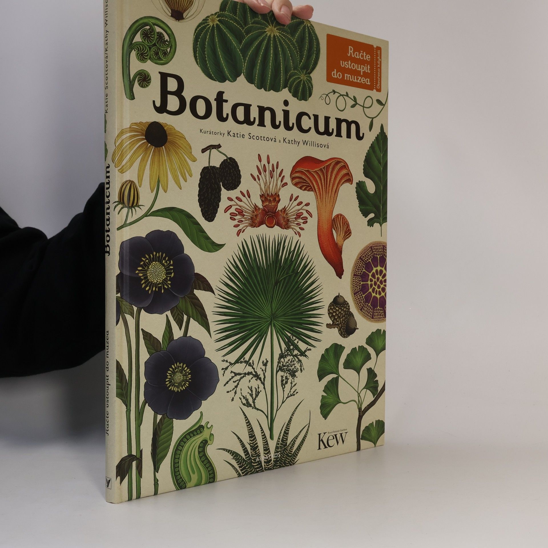 Kathy Willis Botanicum
