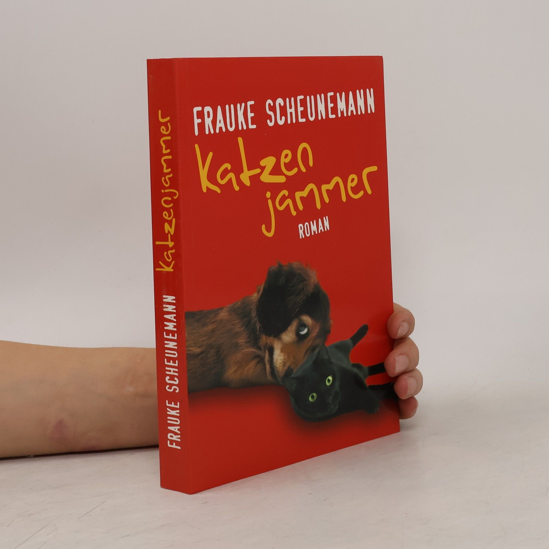 Frauke Scheunemann Katzenjammer